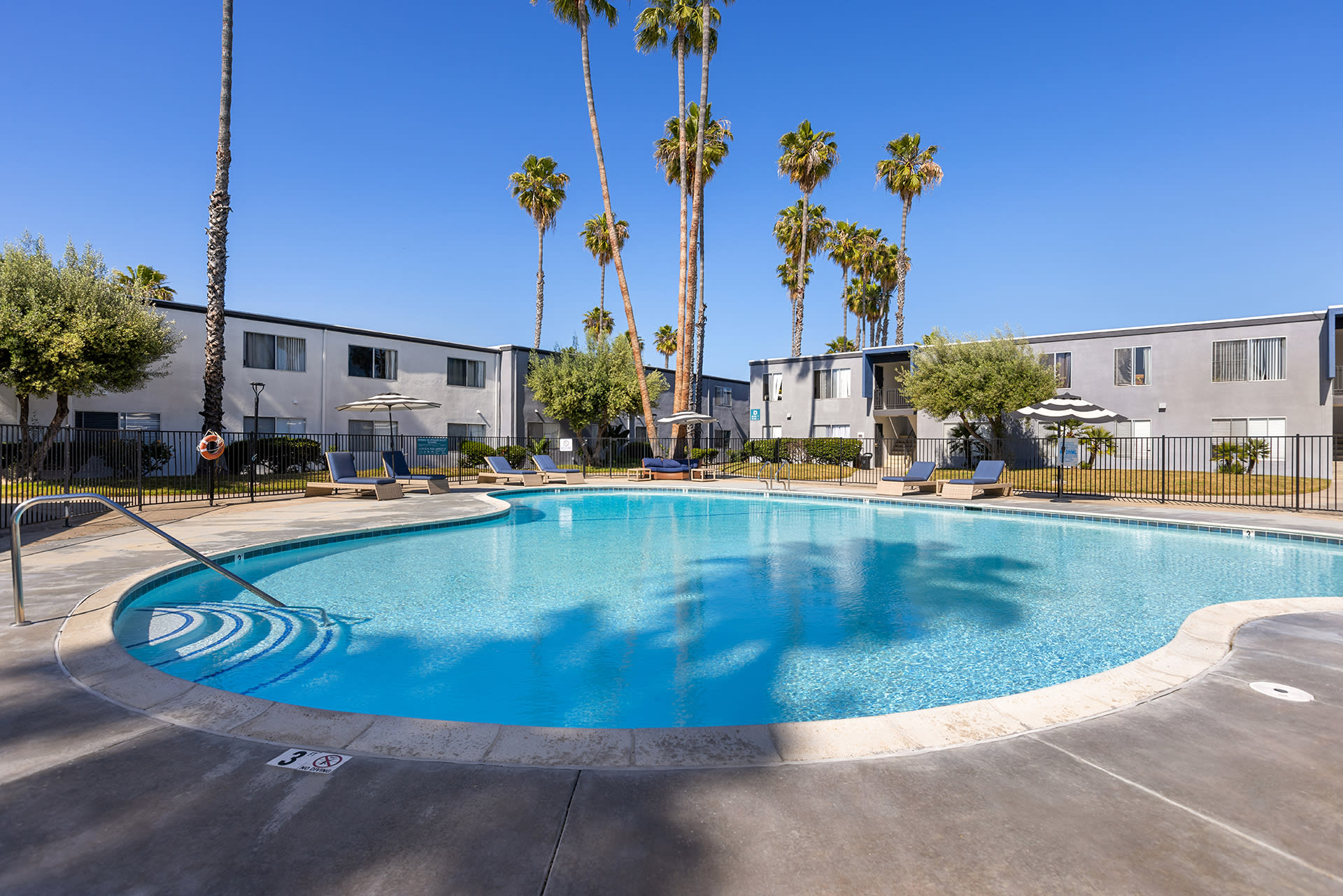 Palms – photo 1
