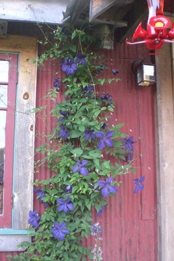 40 Houghtaling Rd – photo 2