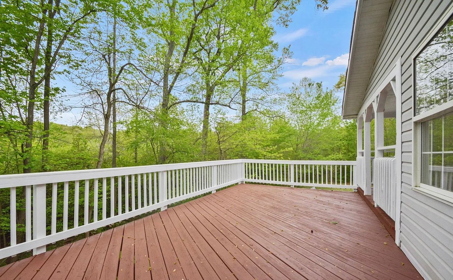 Coming Soon Private Country Retreat On 11 Acres 3 Bedrooms 2 Bathrooms Available September 1St – photo 5