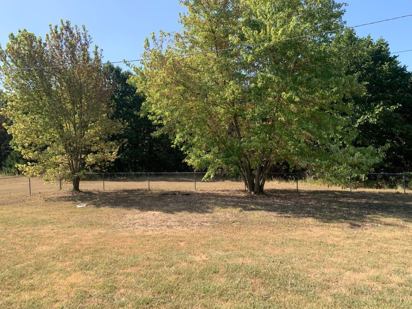 2122 W Austin – photo 2