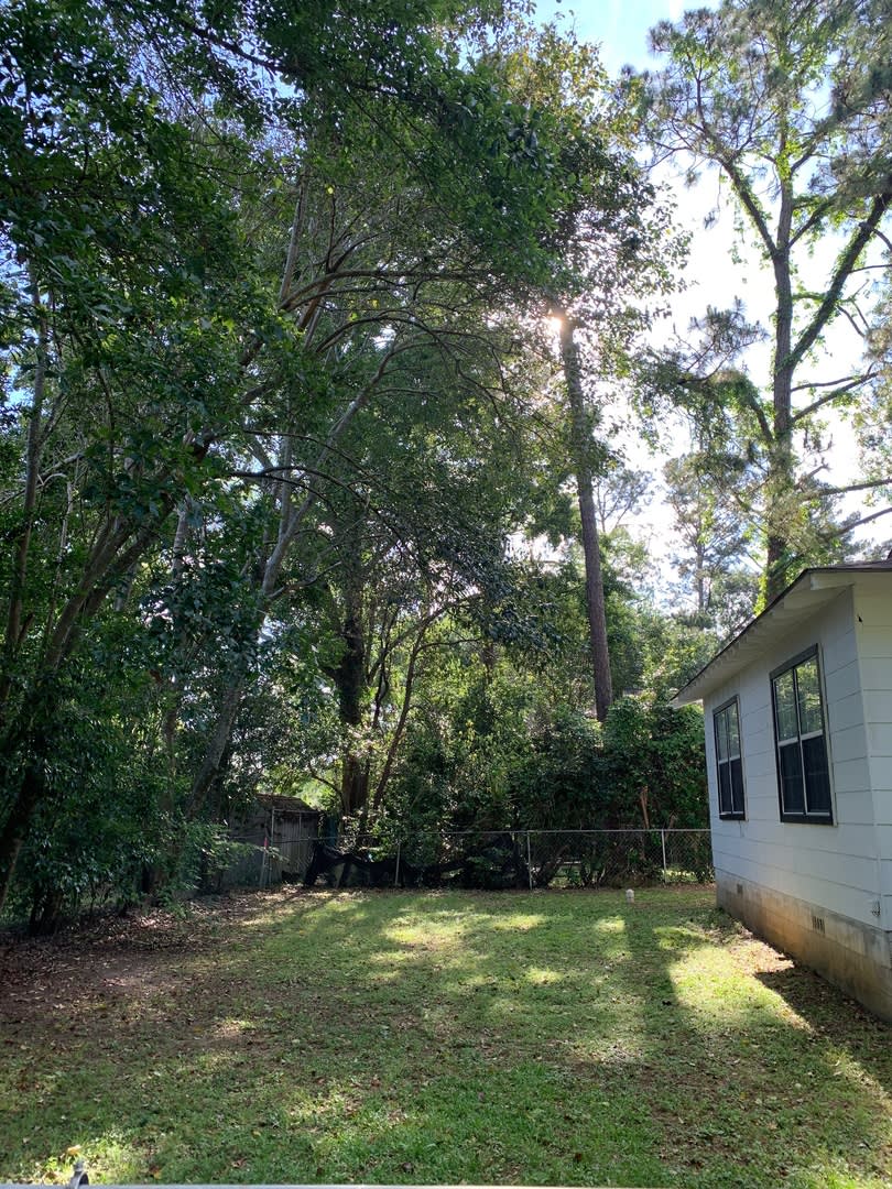 910 Wadsworth – photo 3
