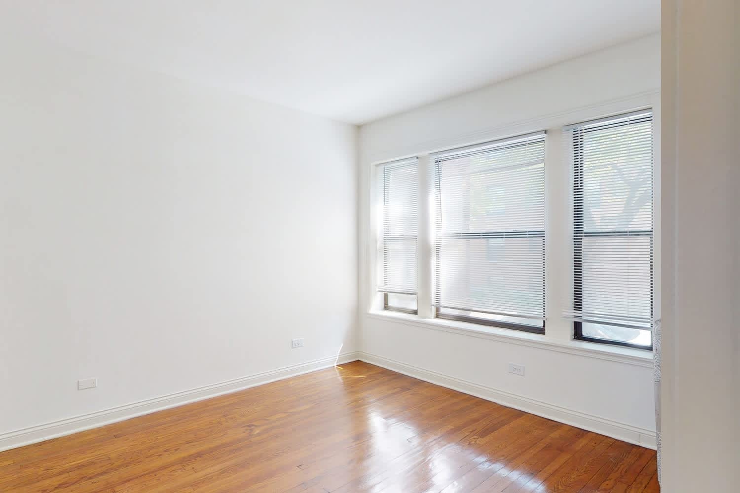 5350 5358 S Maryland Avenue – photo 4