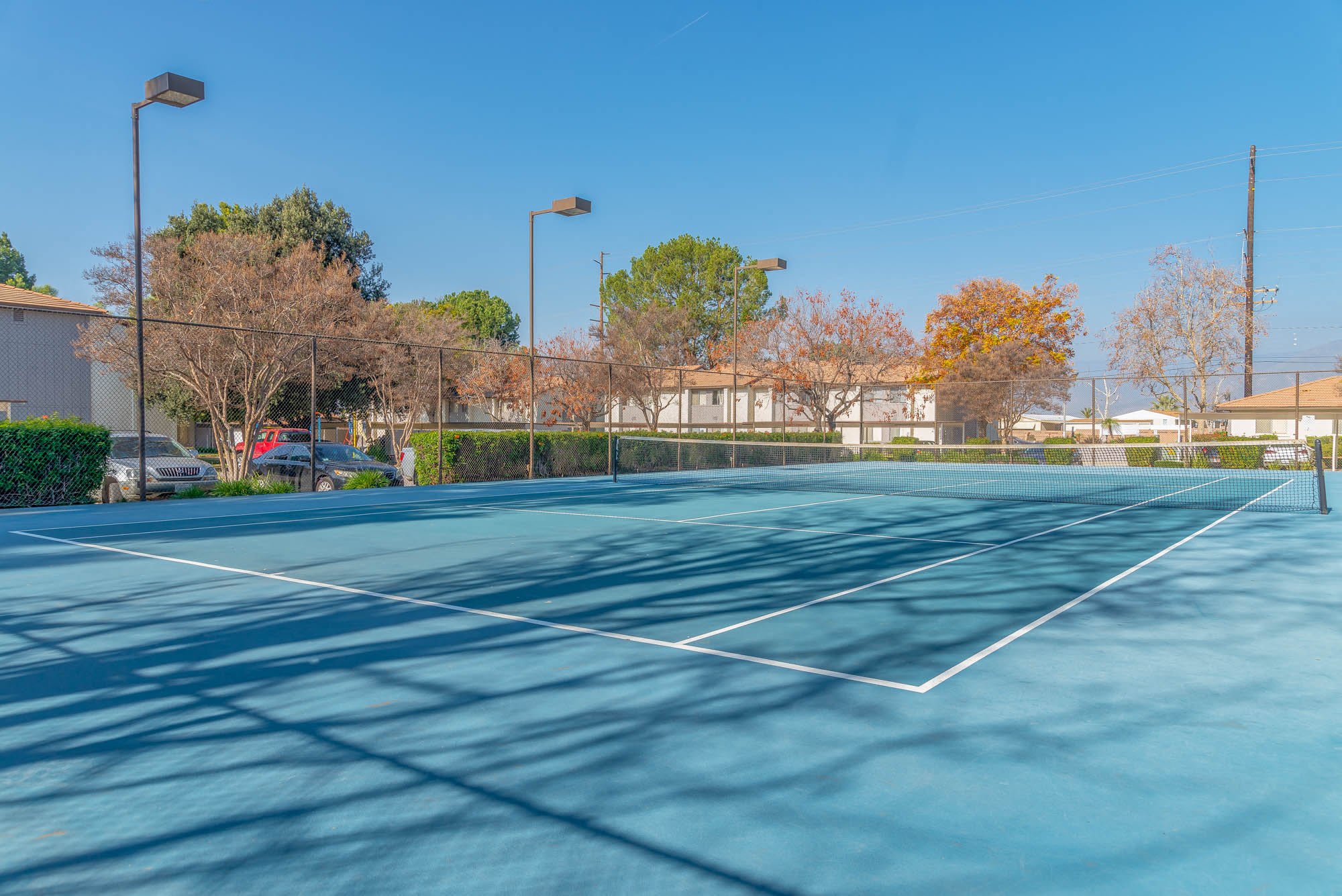 Citrus Grove Apartments – photo 3