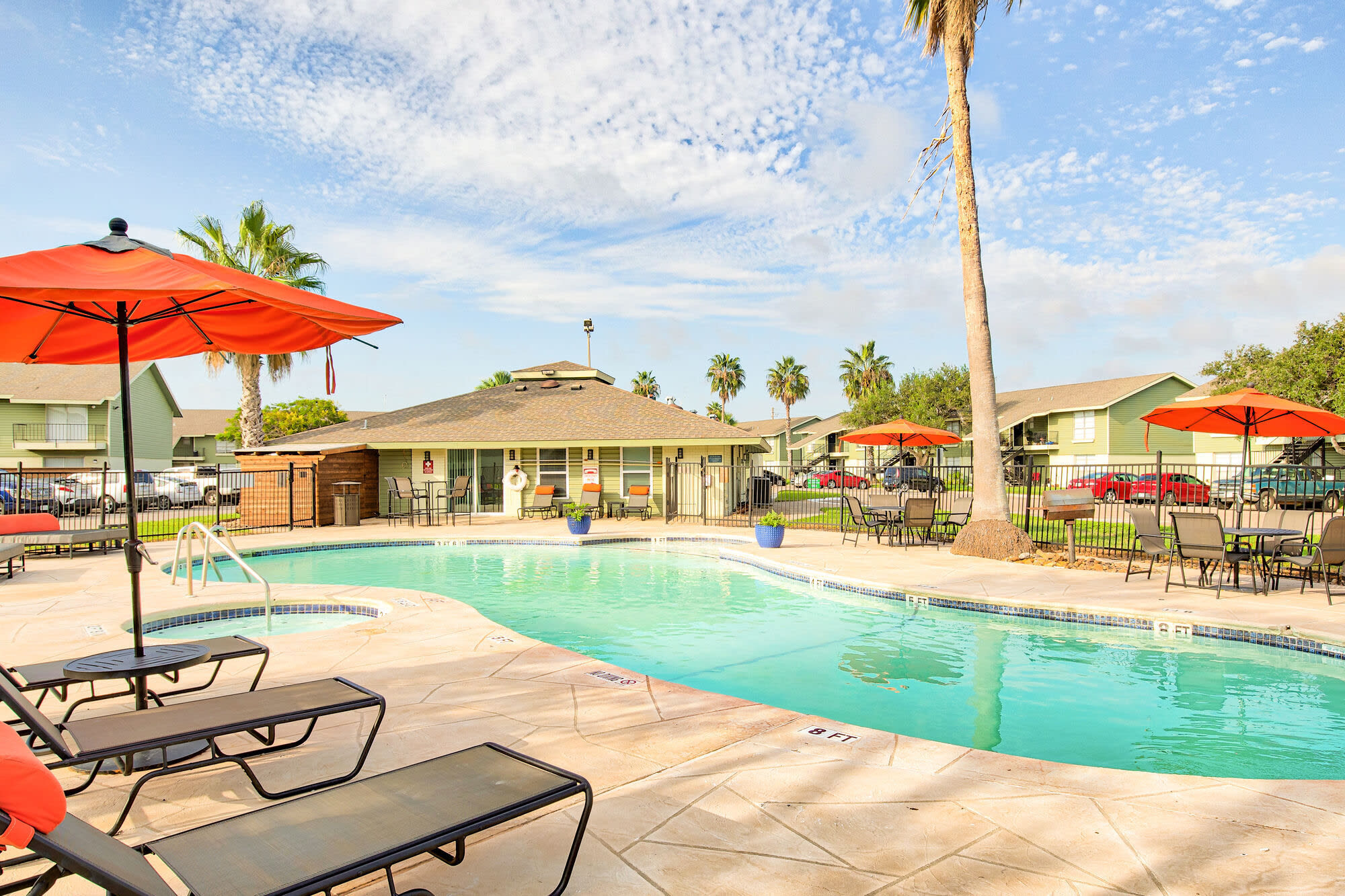 The Palm on SPID – photo 2