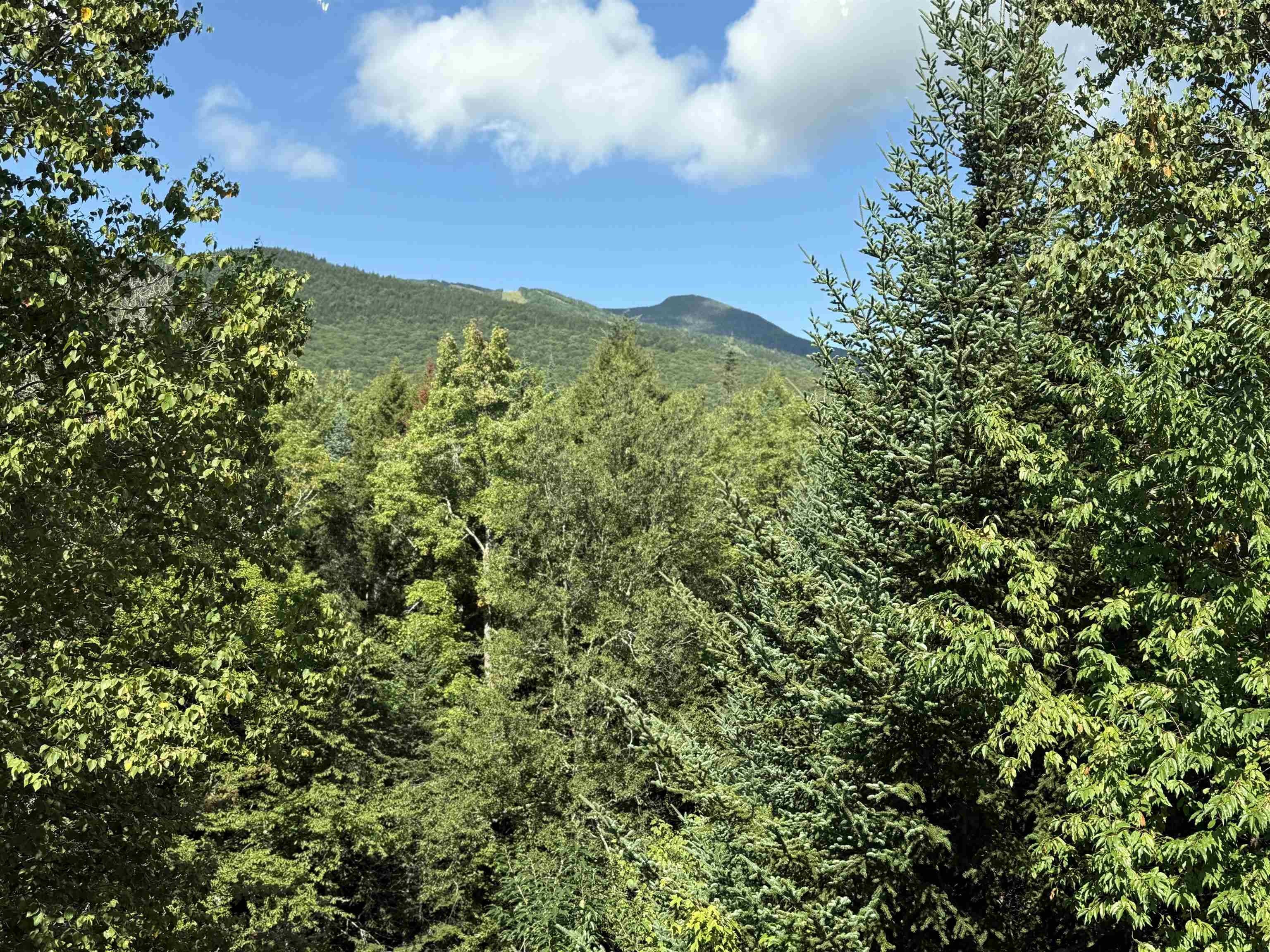 10 Avalanche Way – photo 2
