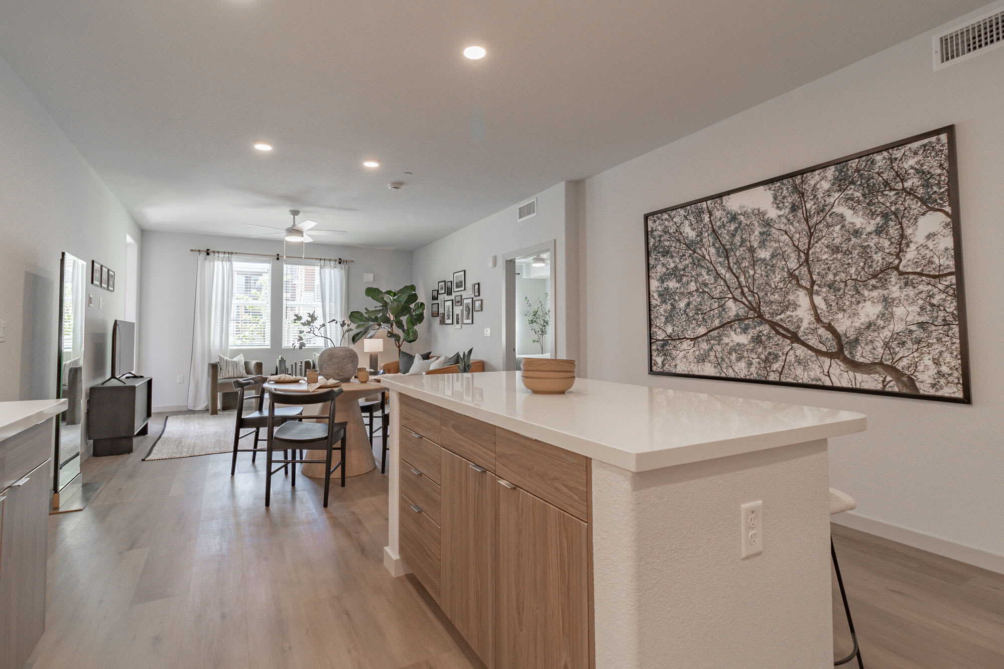 Soco Apartments – photo 4