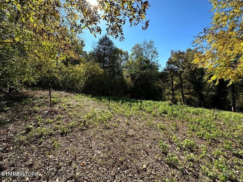 4021 Island Home Pike – photo 3