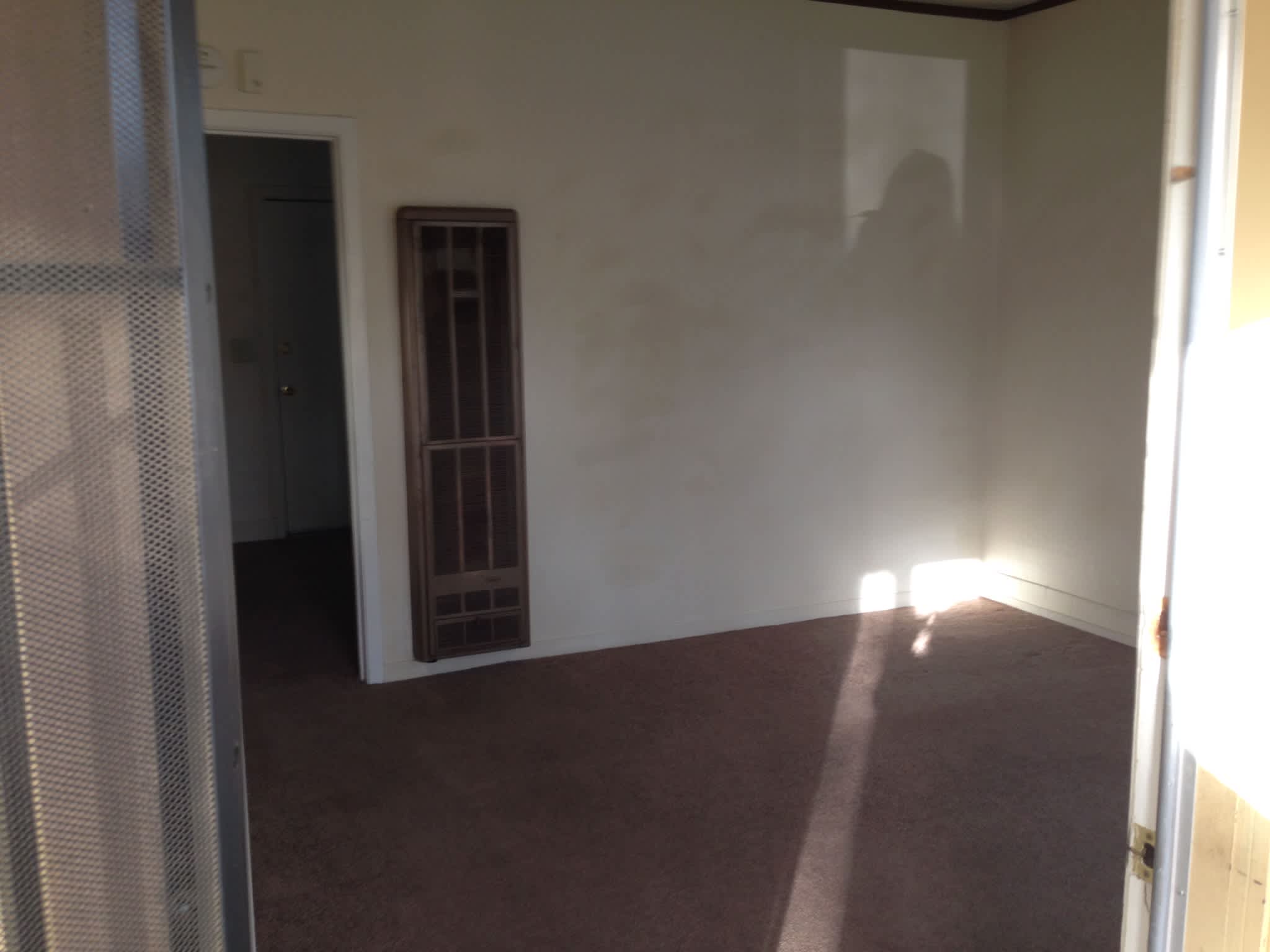 2559 Clay St – photo 3