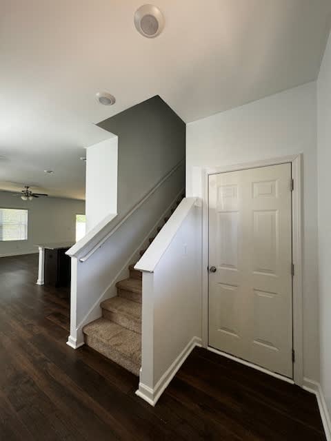 240 Chelsea Park Road – photo 2