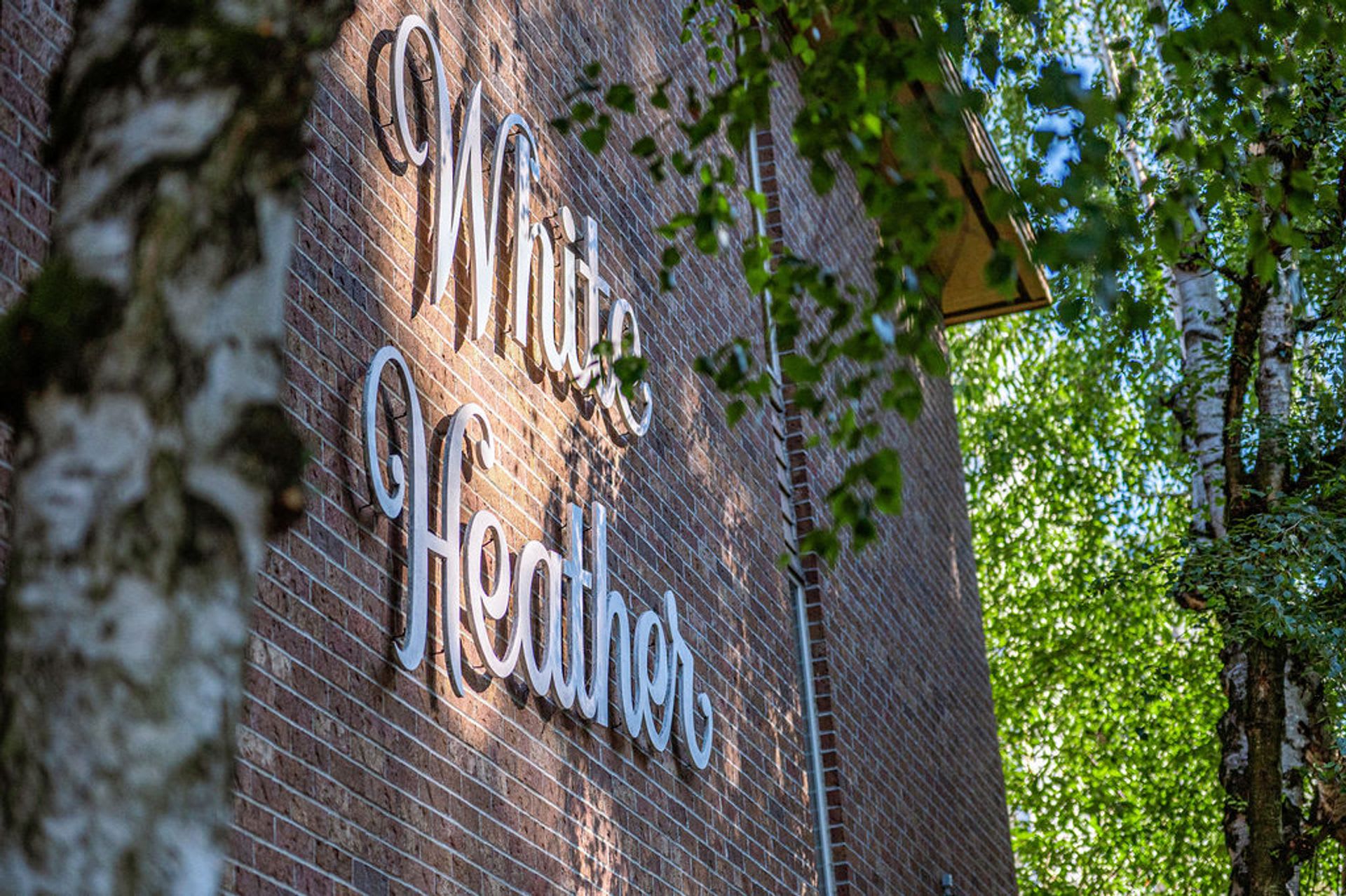 White Heather Apartments Newly Renovated One And Two Bedroom Homes – photo 5