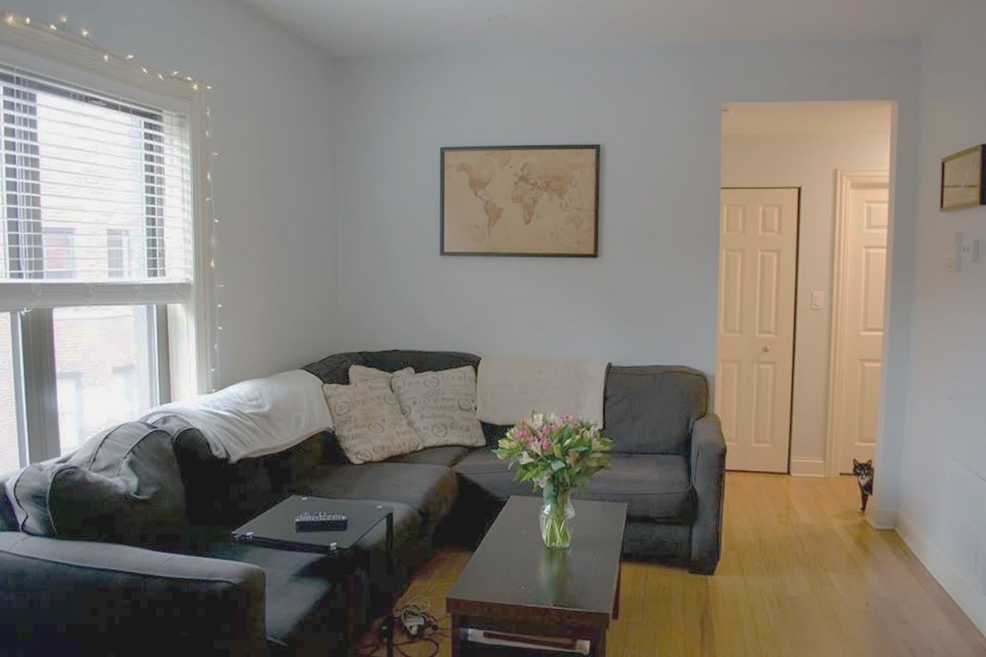 903 W Cornelia Avenue – photo 5