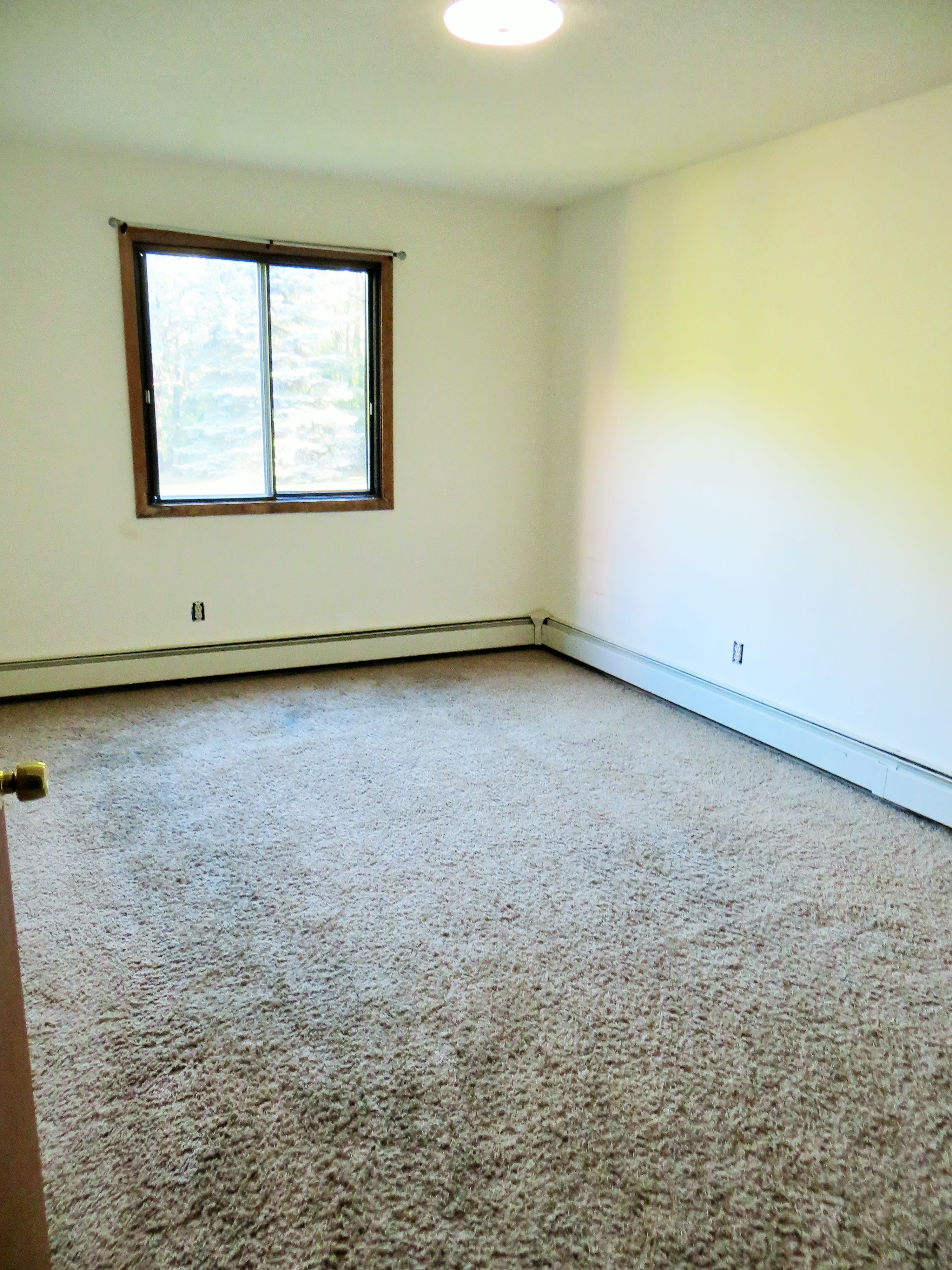 11800 Eldorado Street Northwest – photo 4