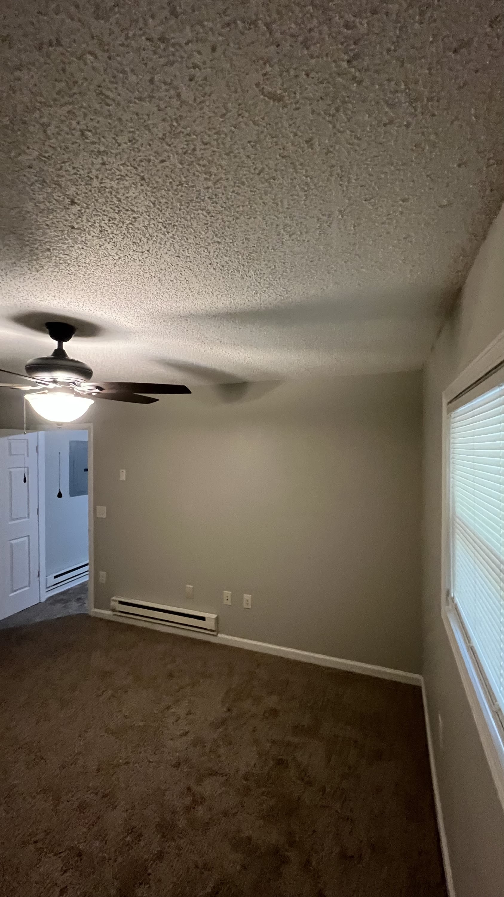1053-C Rulnick Street – photo 2