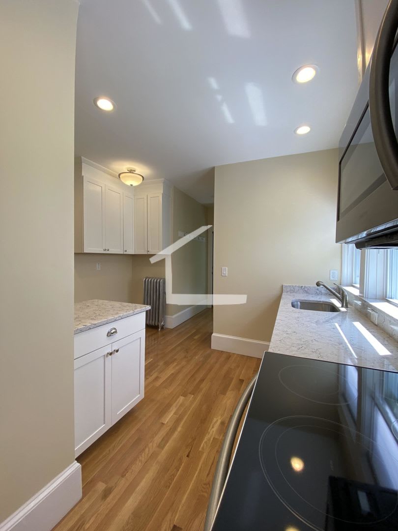 Unique Brookline Apartment. For you 9/1/26 – photo 4
