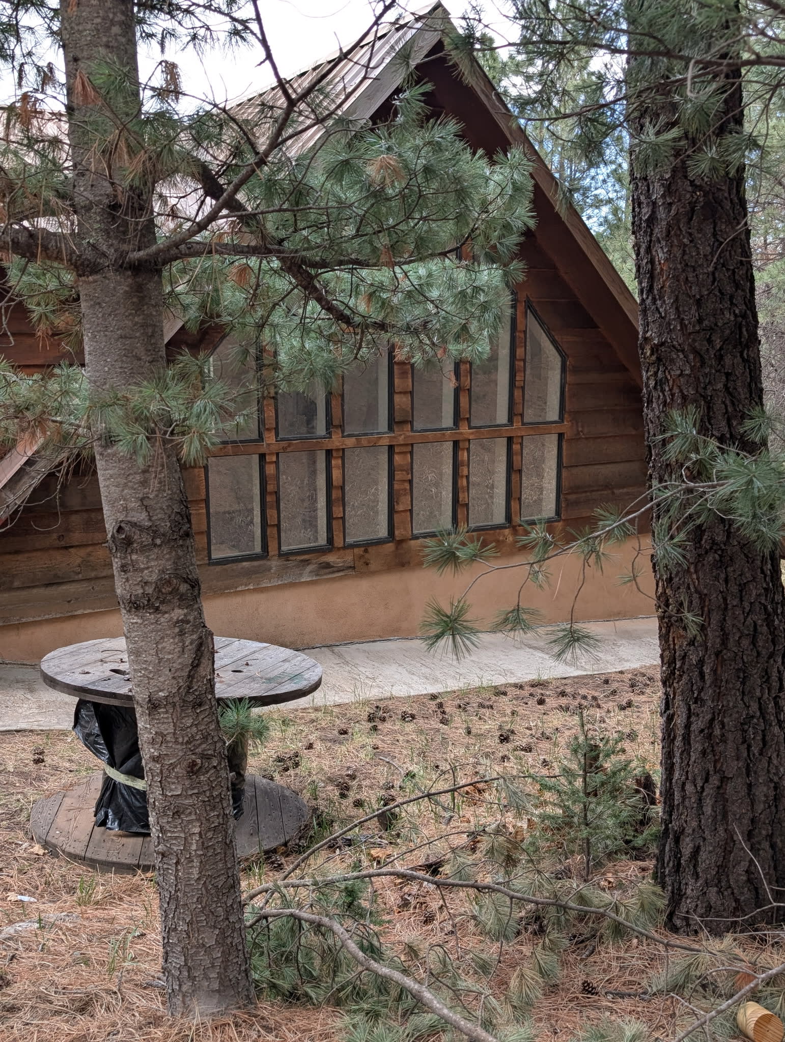18 Silver Fox Trail – photo 3