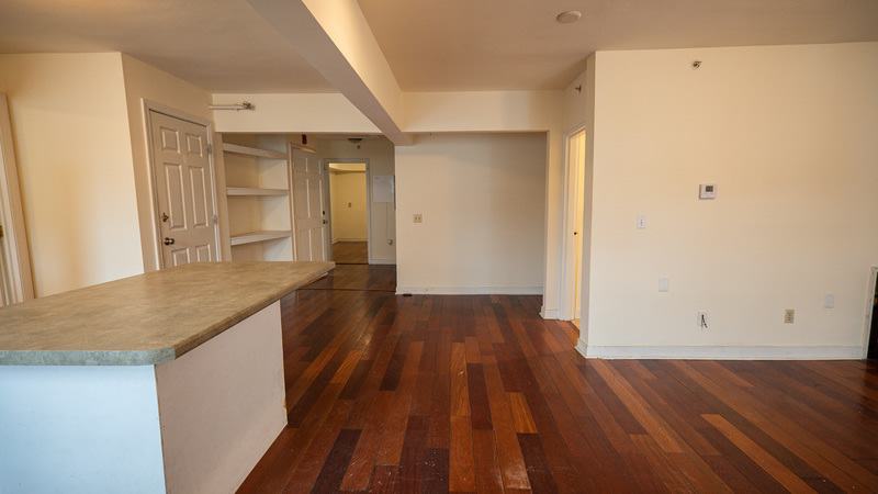361 Pearl Street, Unit 5 – photo 4