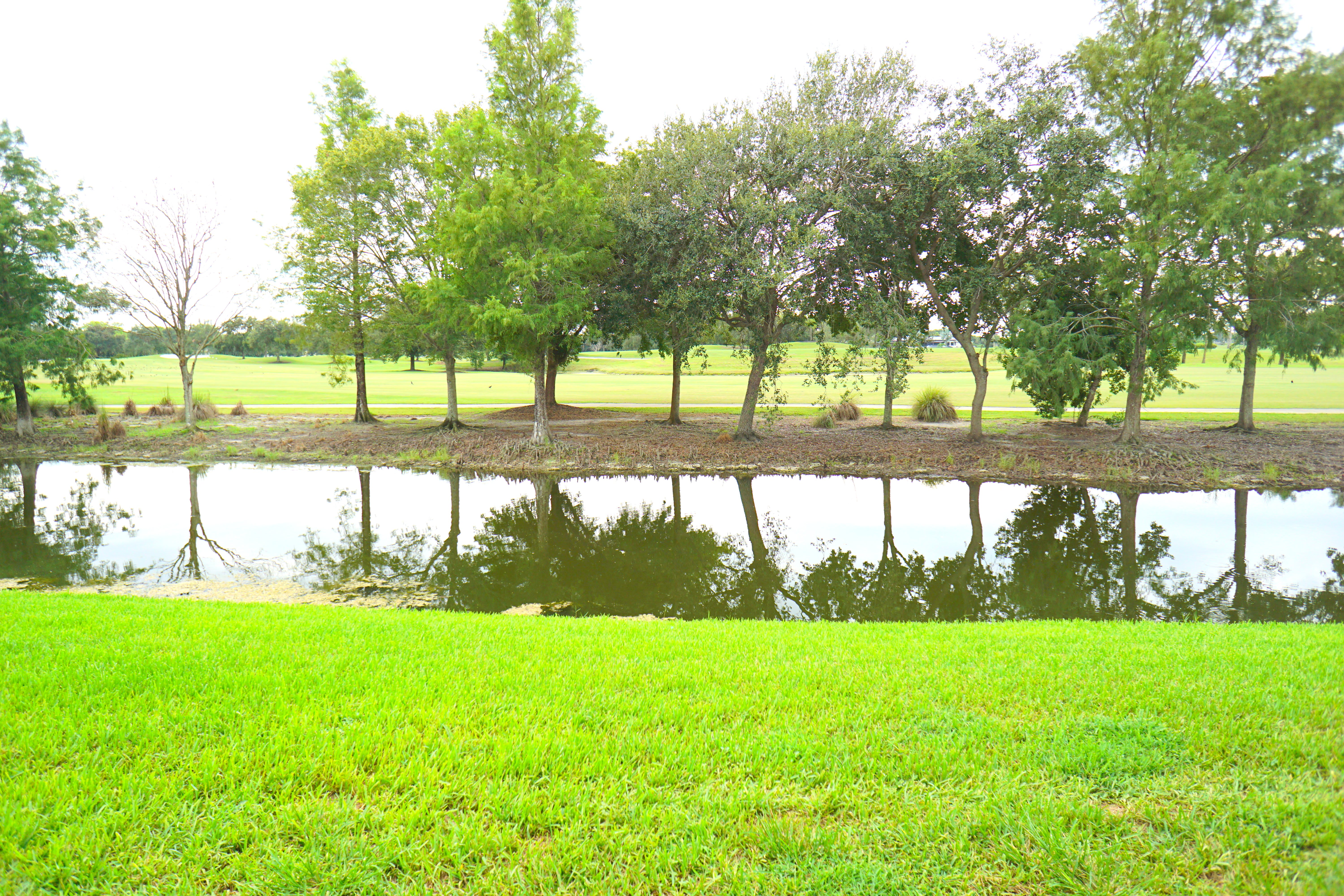 12620 Vista Isles Dr – photo 5