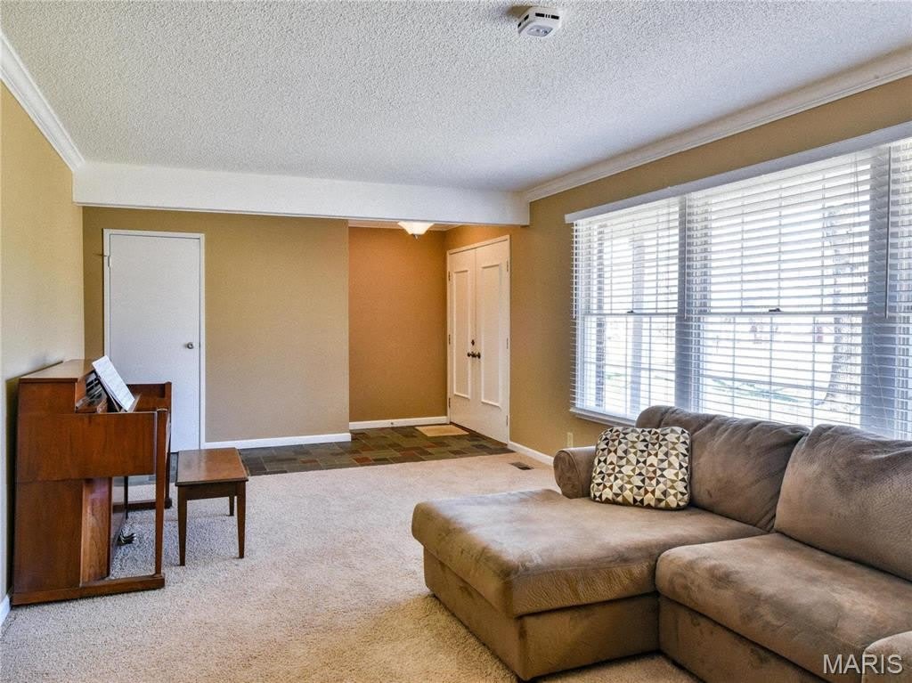 2 Sunny Forest Court – photo 2