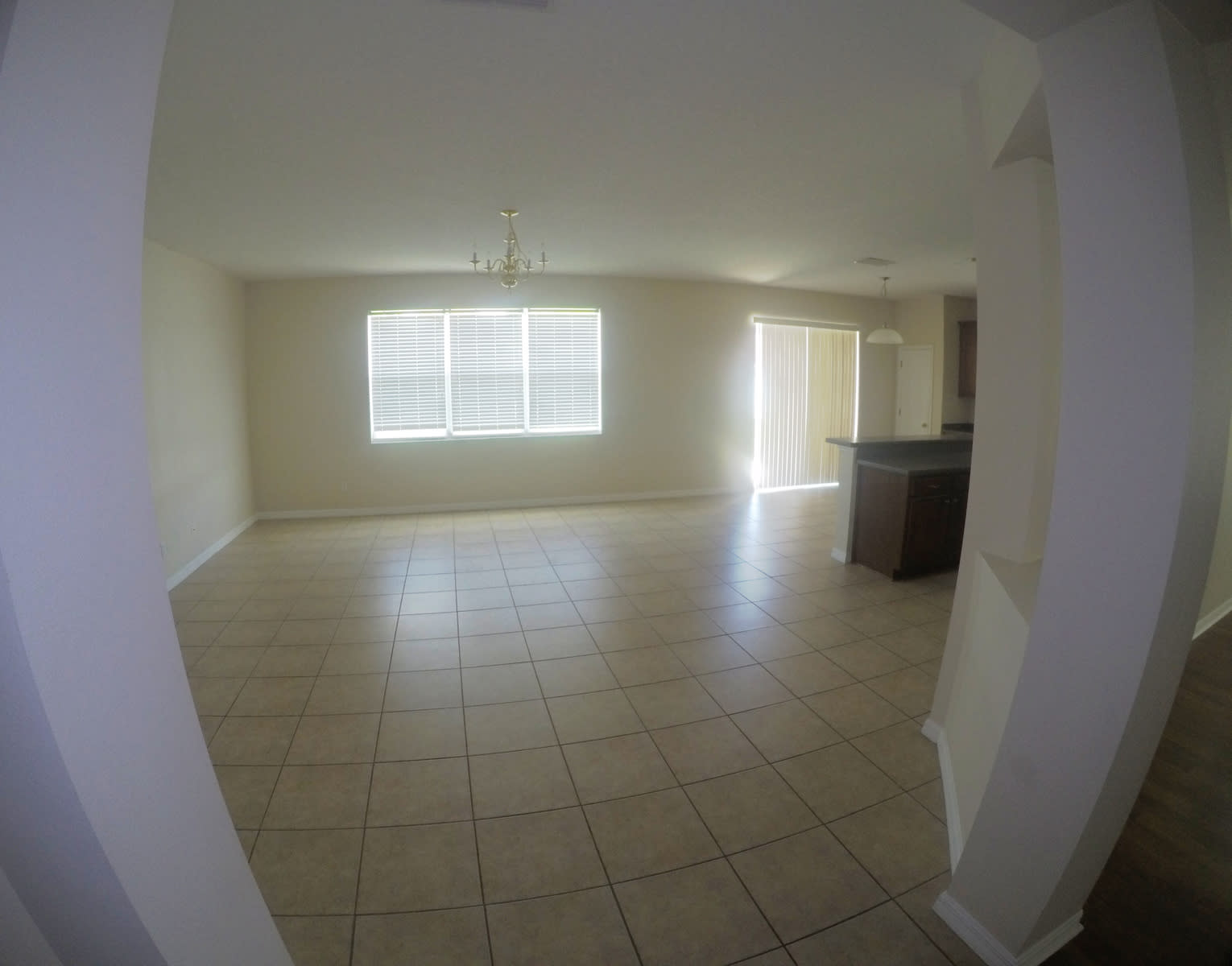 4624 Barbados Loop – photo 4