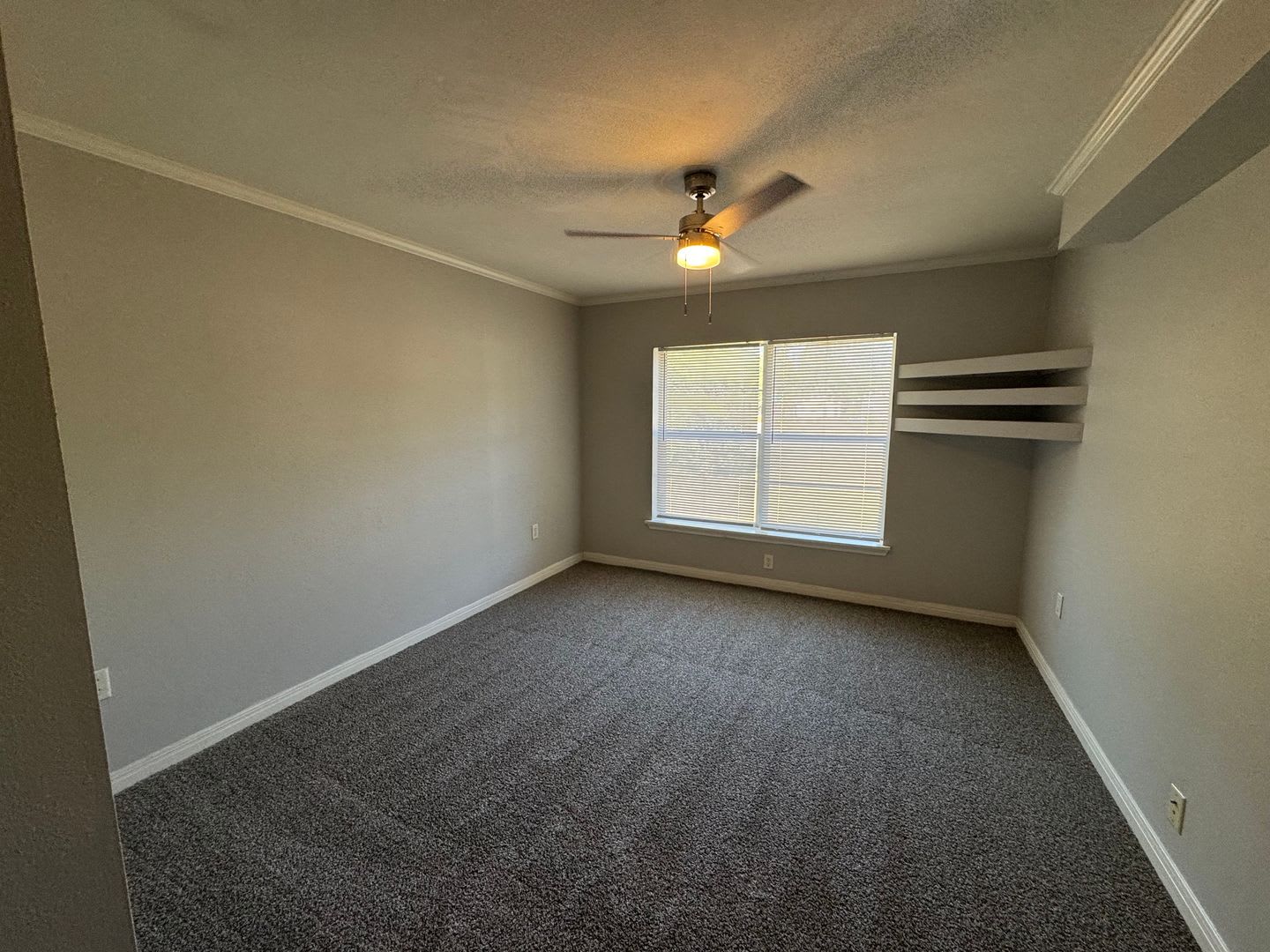 Updated Corner Lot W/ Garage Apartment – photo 3