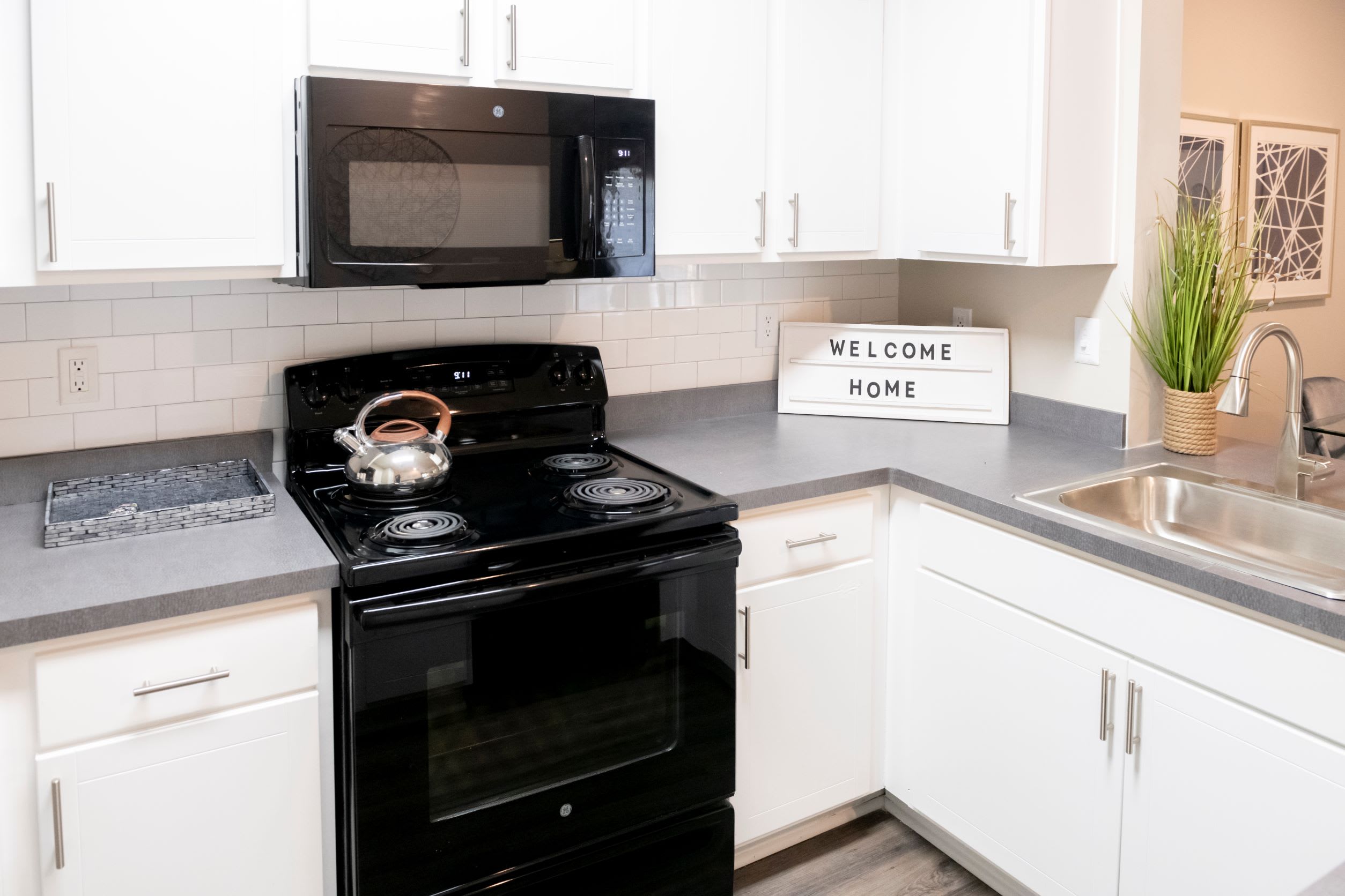One Rocky Ridge Apartment Homes – photo 1