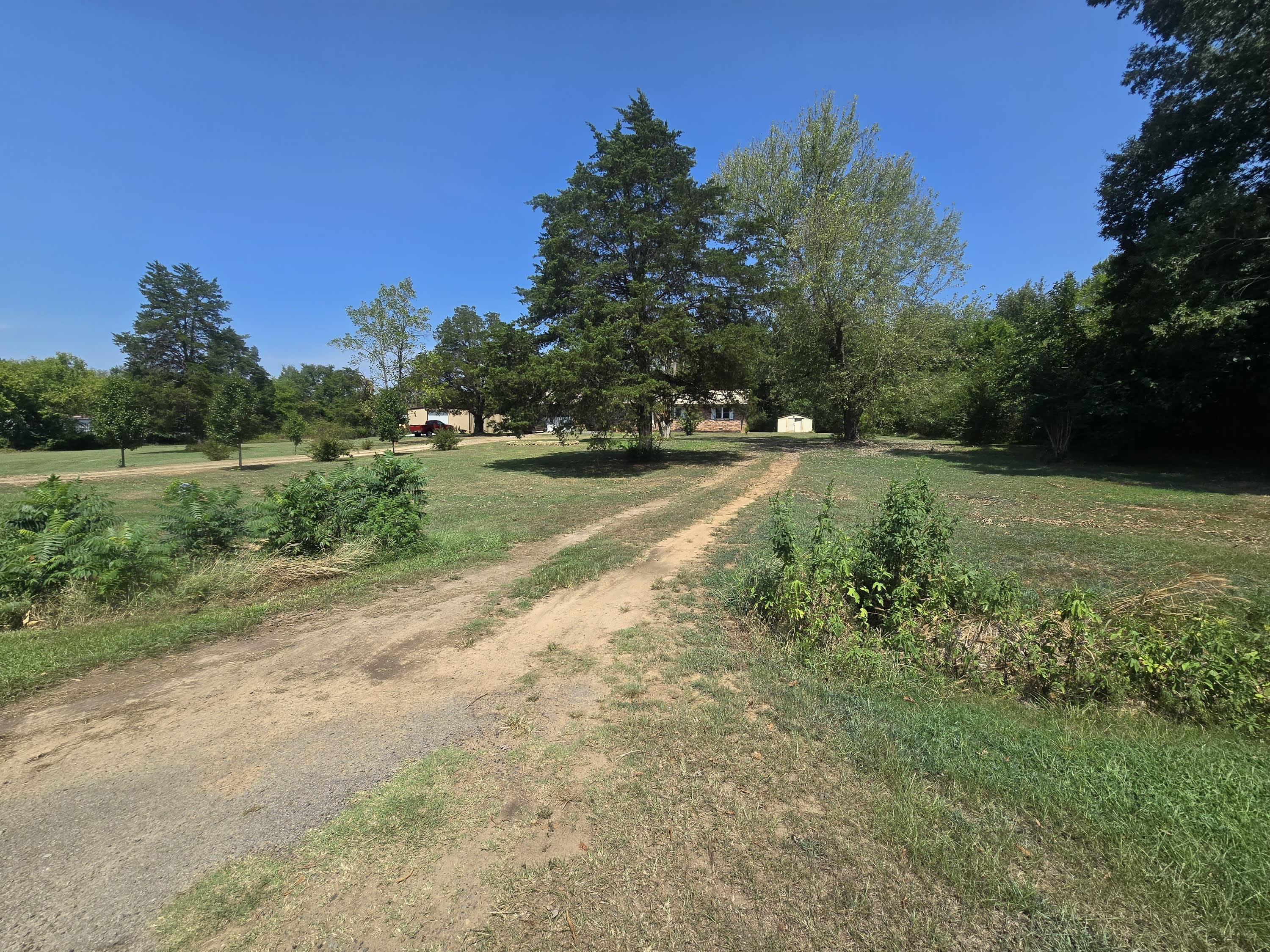 24126 Arkansas 164 – photo 5