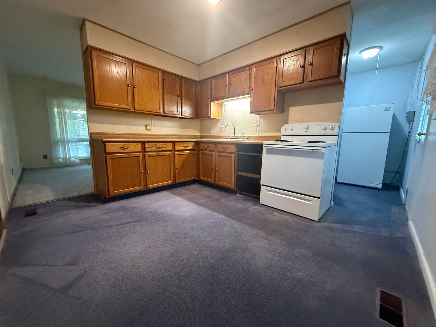 Cozy 2-Bedroom with Garage on a Spacious Lot – photo 4