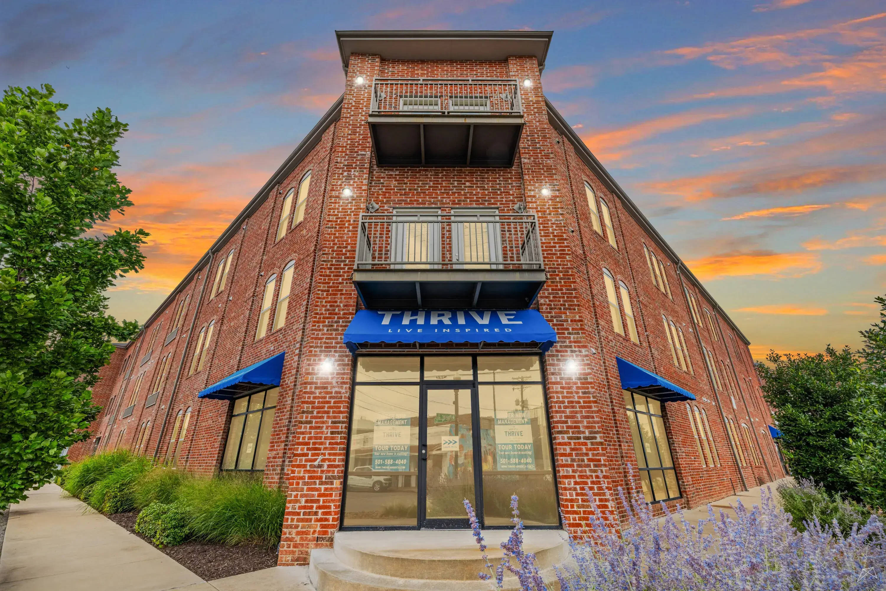 Thrive Argenta – photo 2