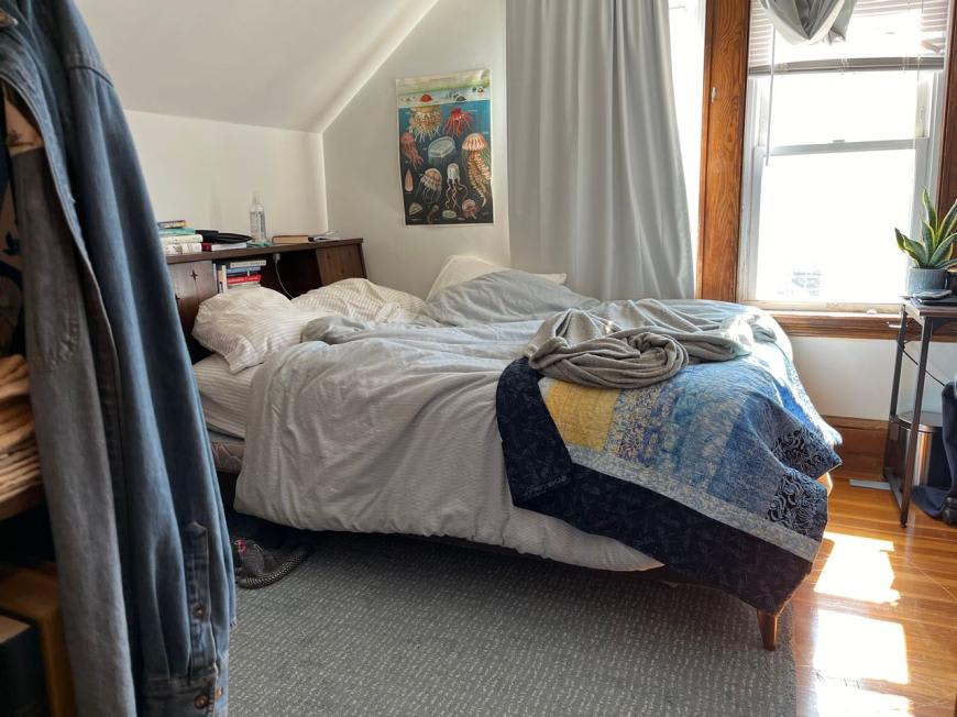 11 Dickson St. – photo 2
