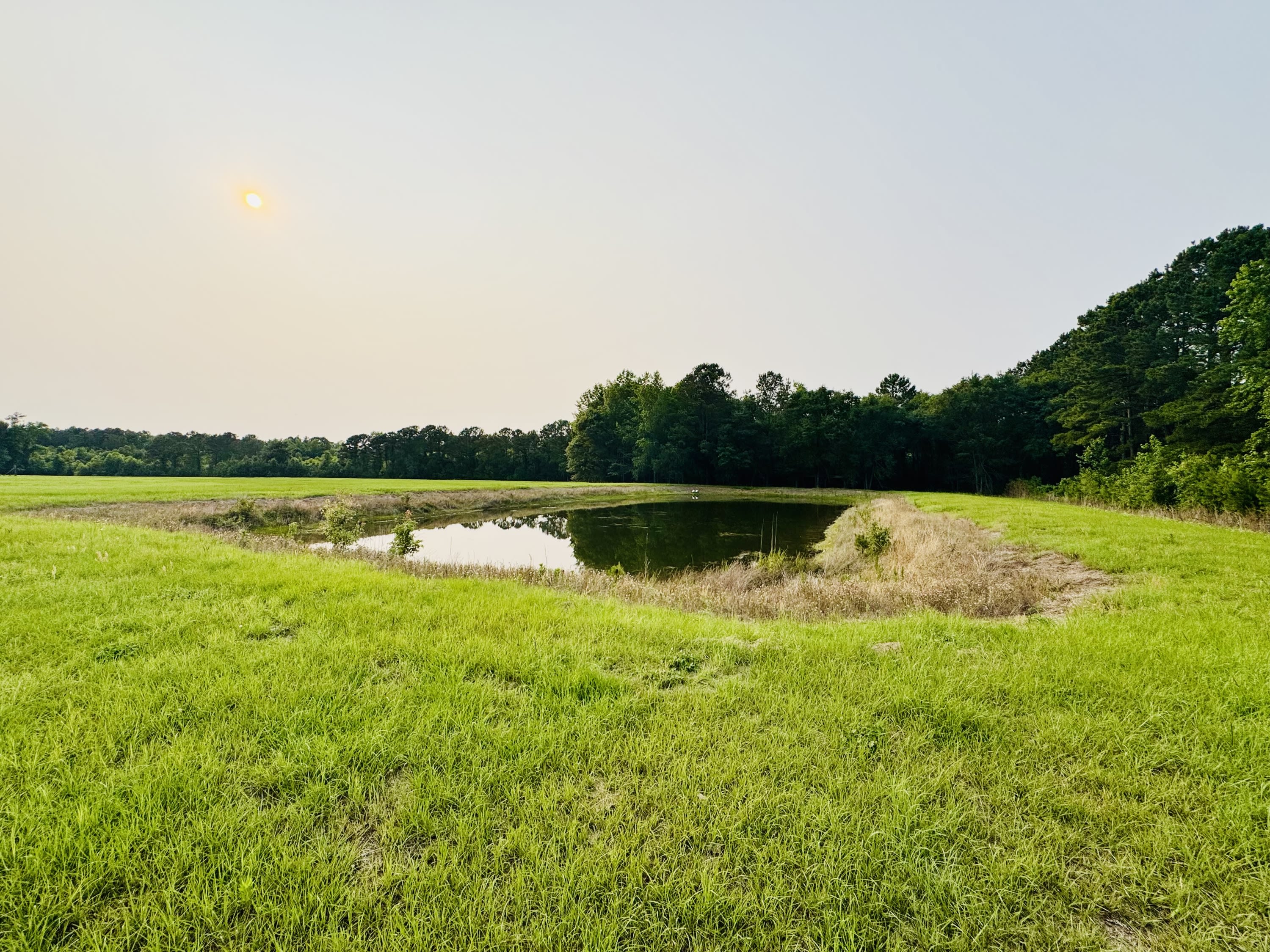 3753 Valley Forge Road – photo 5