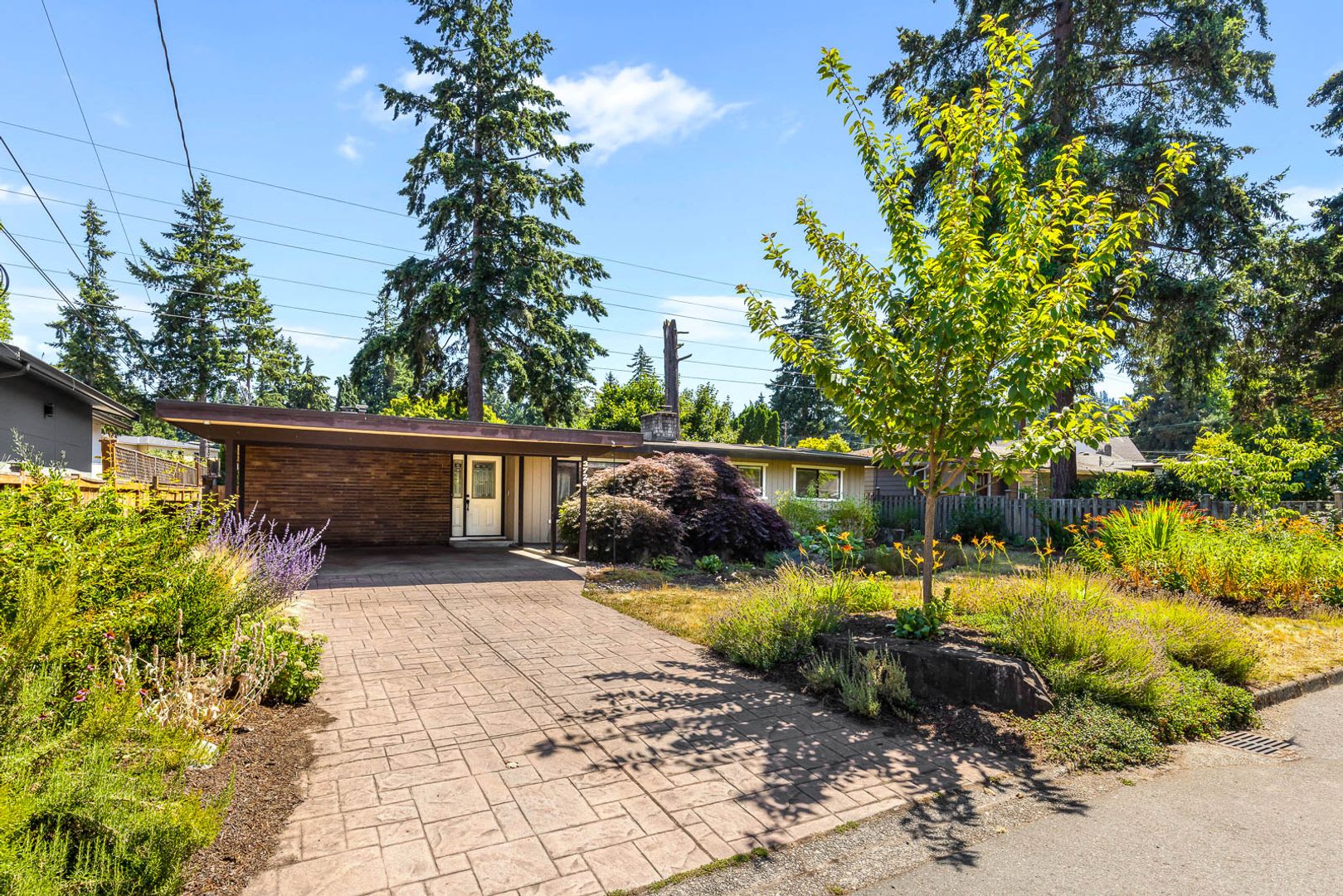 One-of-a-Kind Mid-Century Modern 4 Bedroom Retreat with Dream Backyard – photo 2