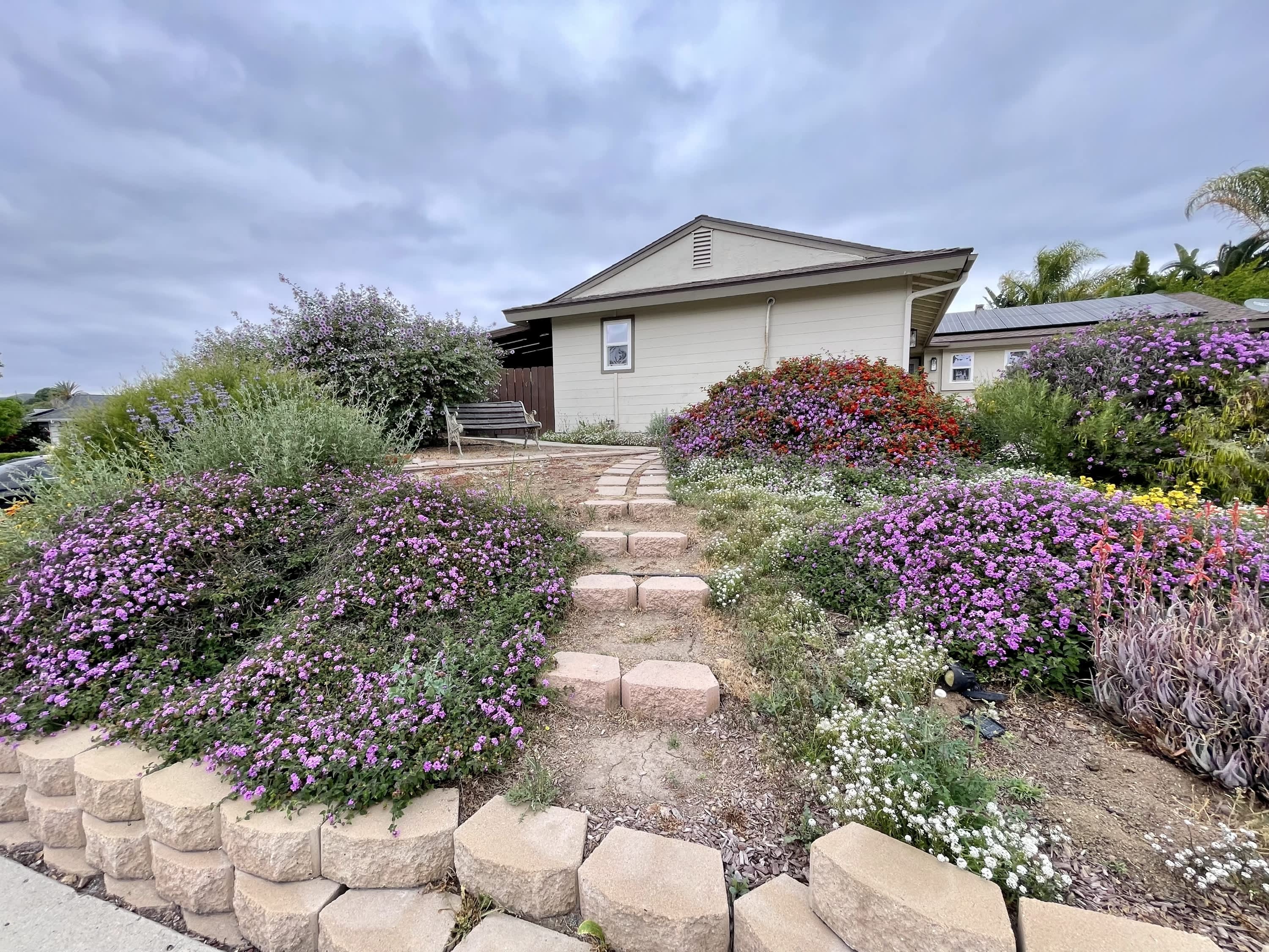 9556 1/2 Cecilwood Drive – photo 3