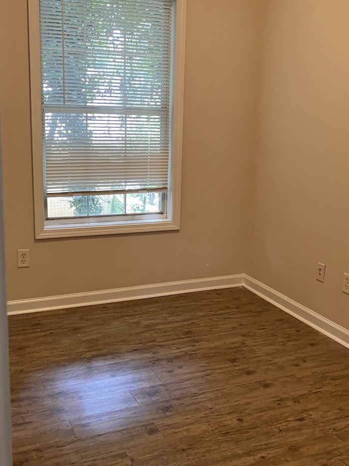 3940 Stutz Street – photo 5