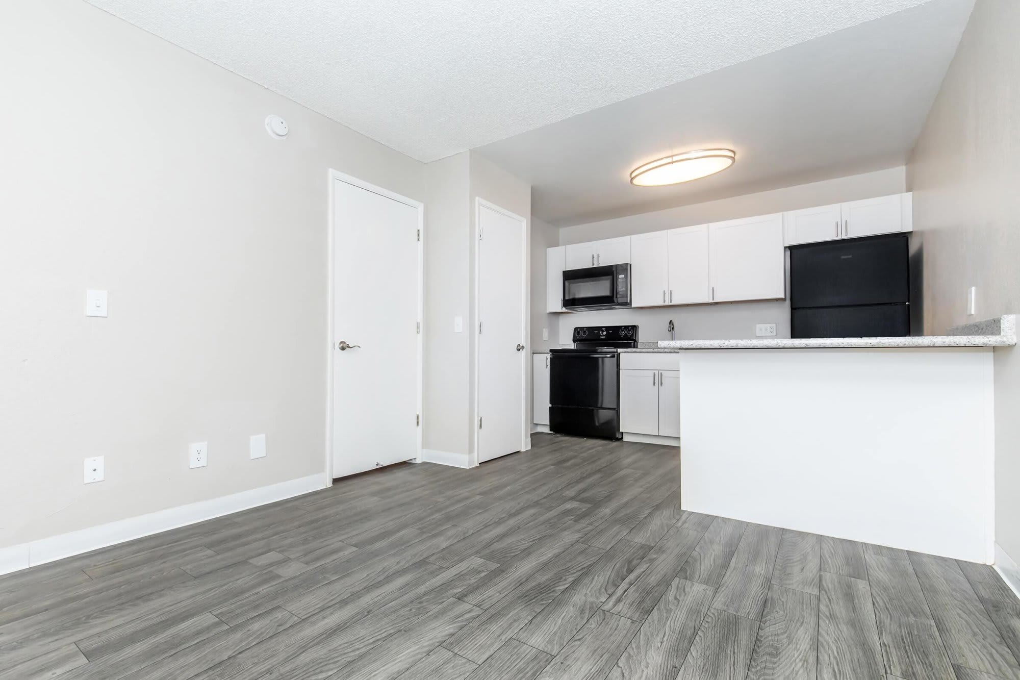 Standard Raintree – photo 4