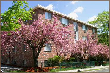 Gardner Street Apartments – photo 2