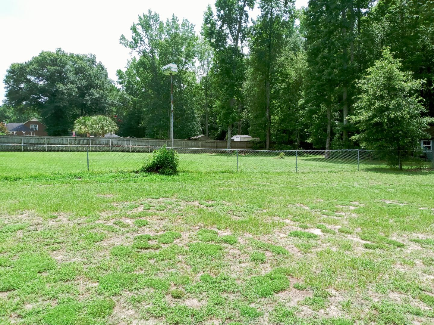 350 Katydid Street – photo 5