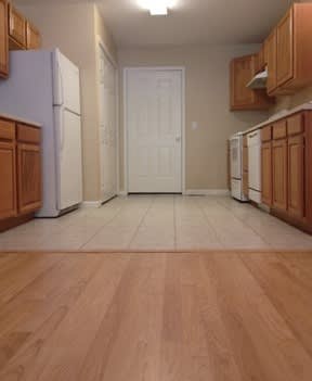 Single-Family Home in Branson – photo 1