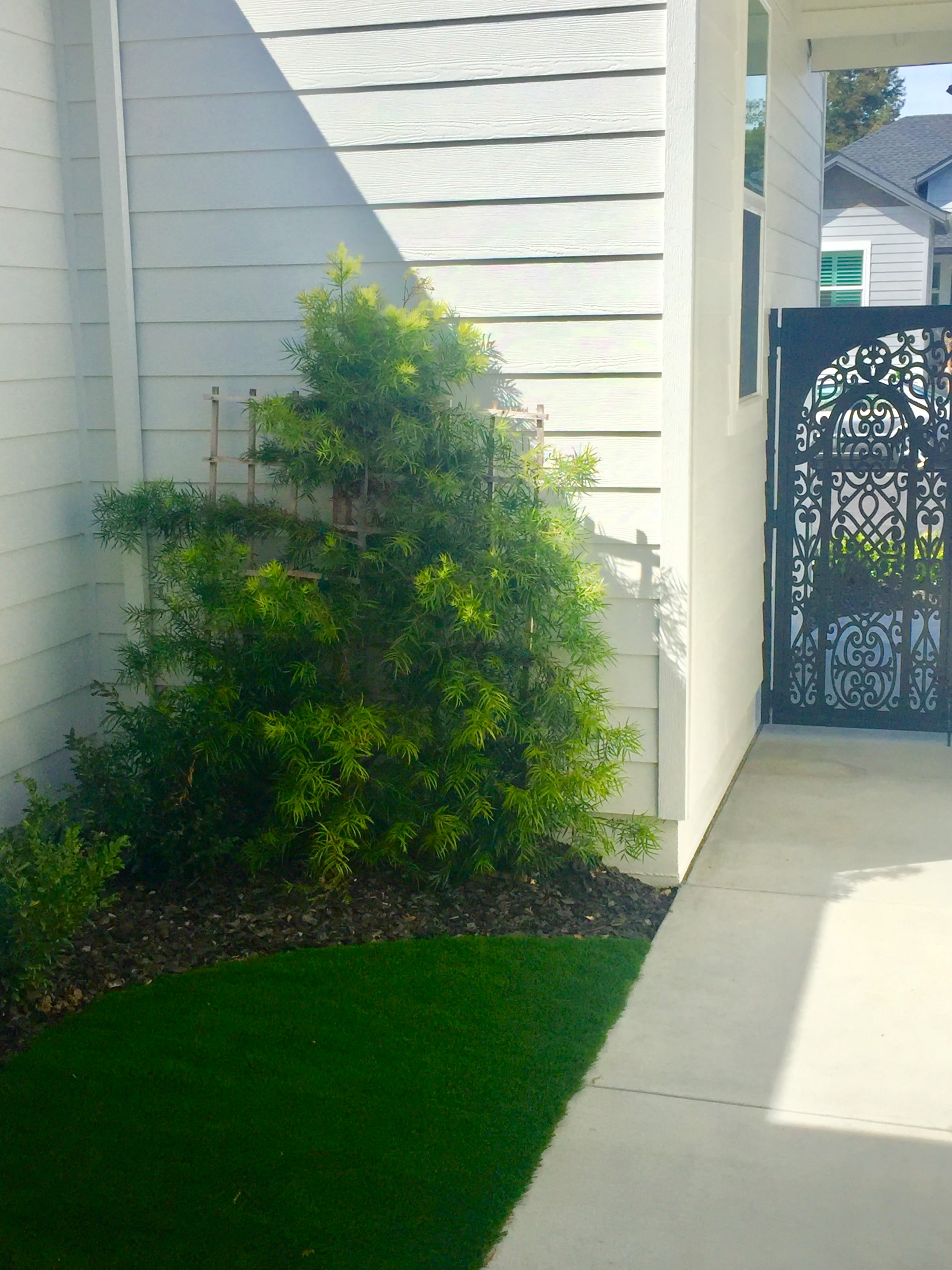 352 Graciella Drive – photo 5