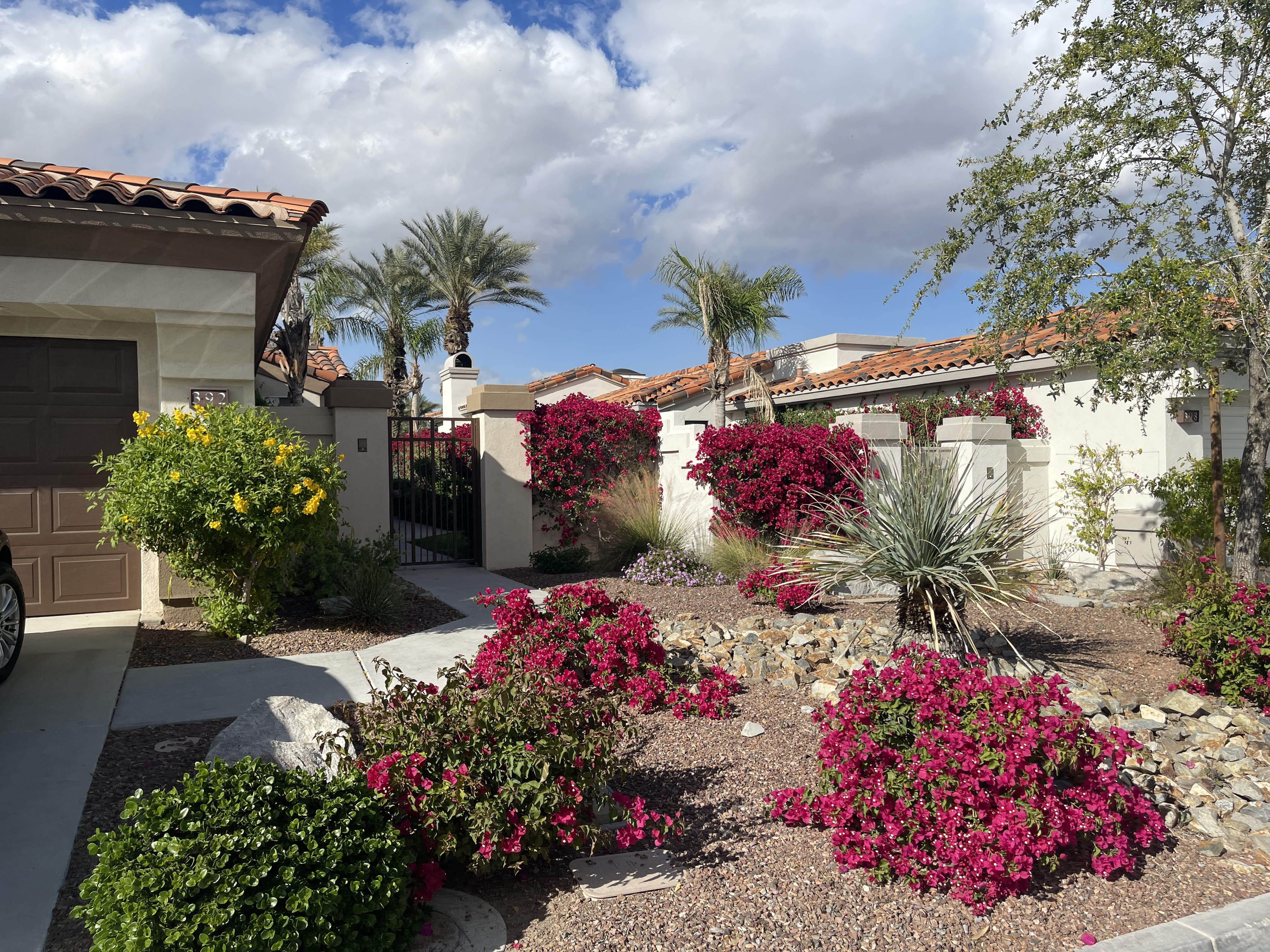 392 Desert Holly Drive – photo 4