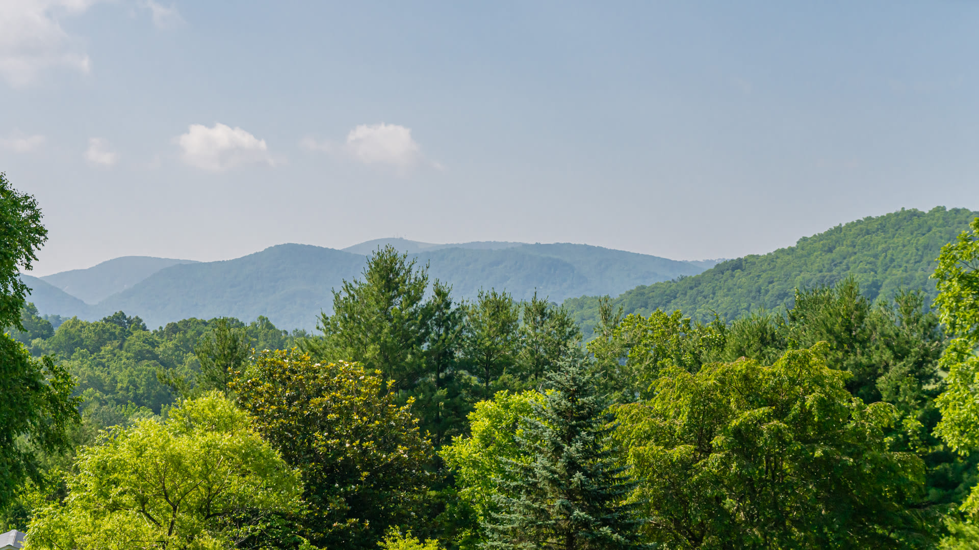664 Old Fort Rd – photo 2