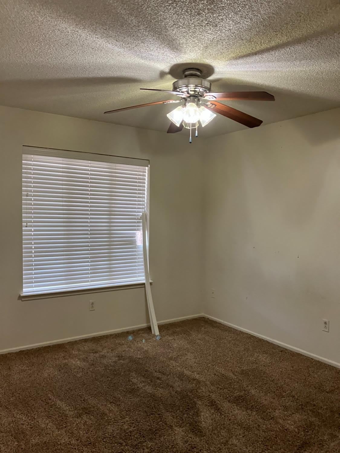 3208 74th Street – photo 5