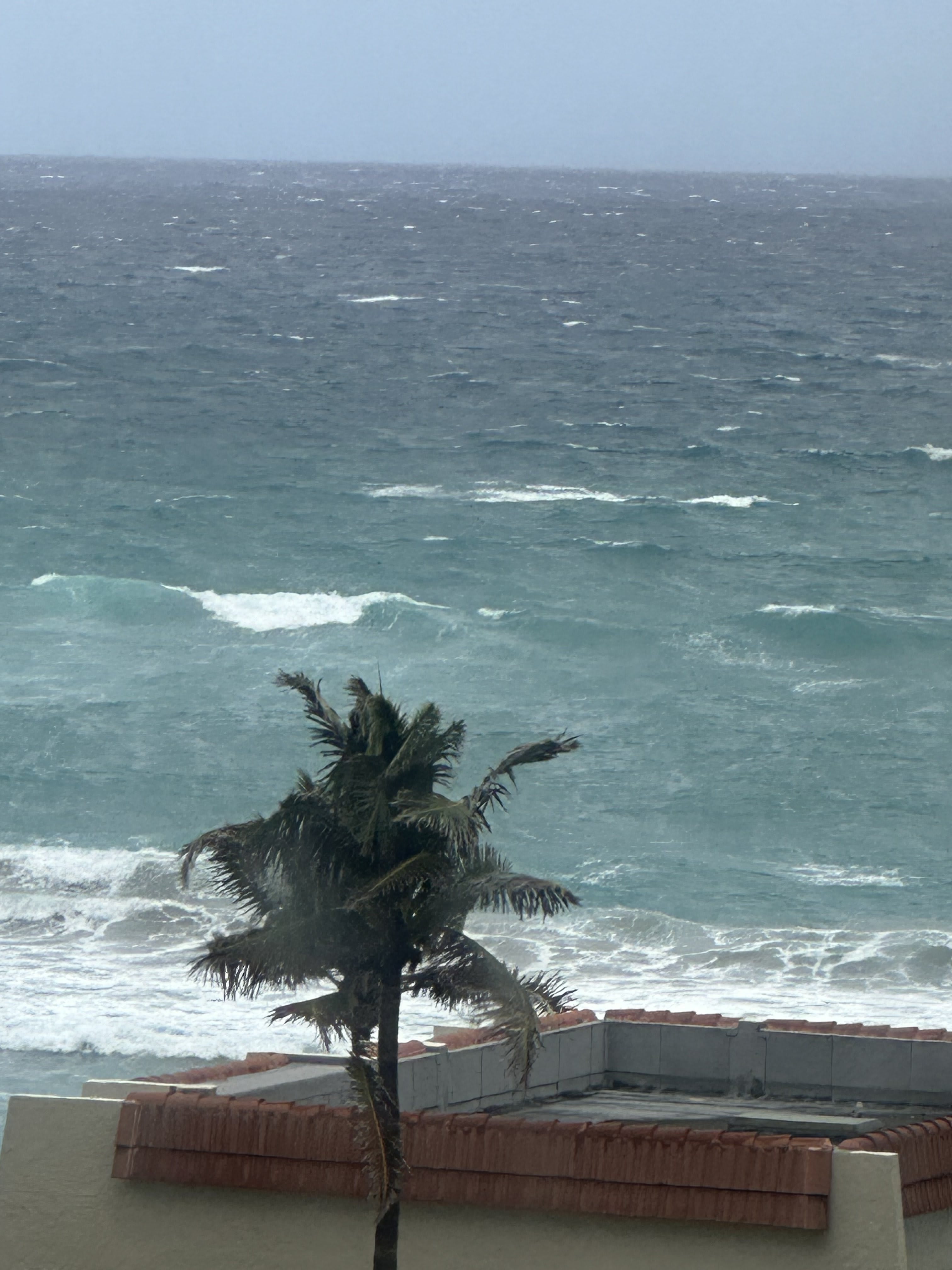 3540 South Ocean Boulevard – photo 3