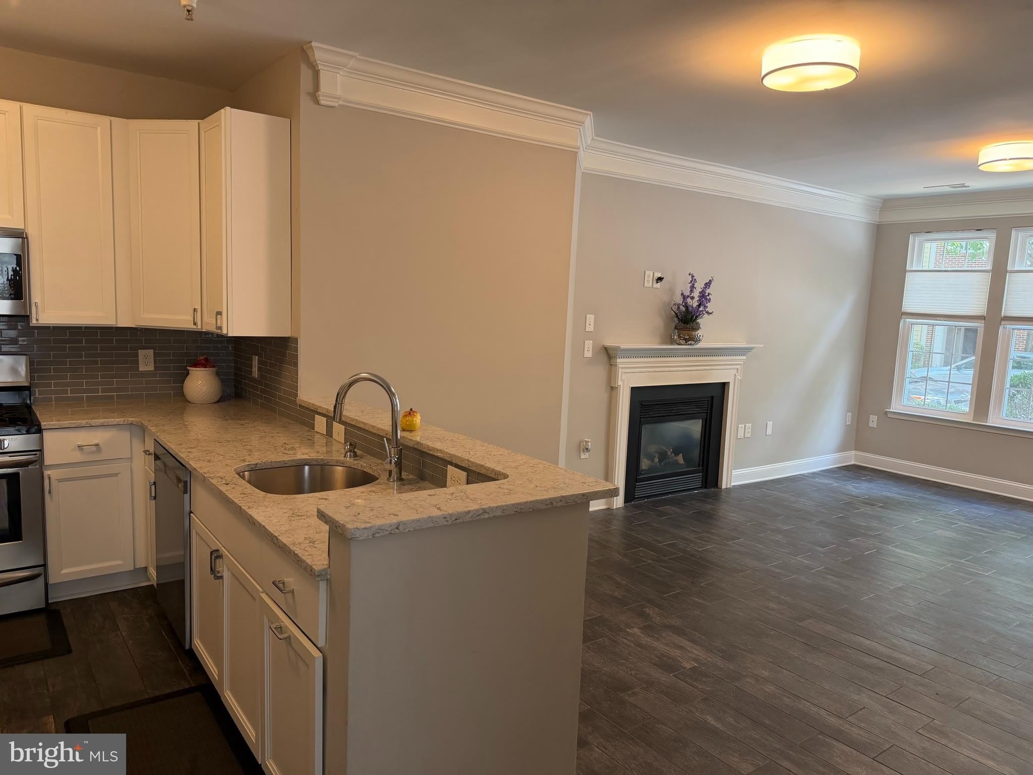 123 BUCKSFIELD Road – photo 4