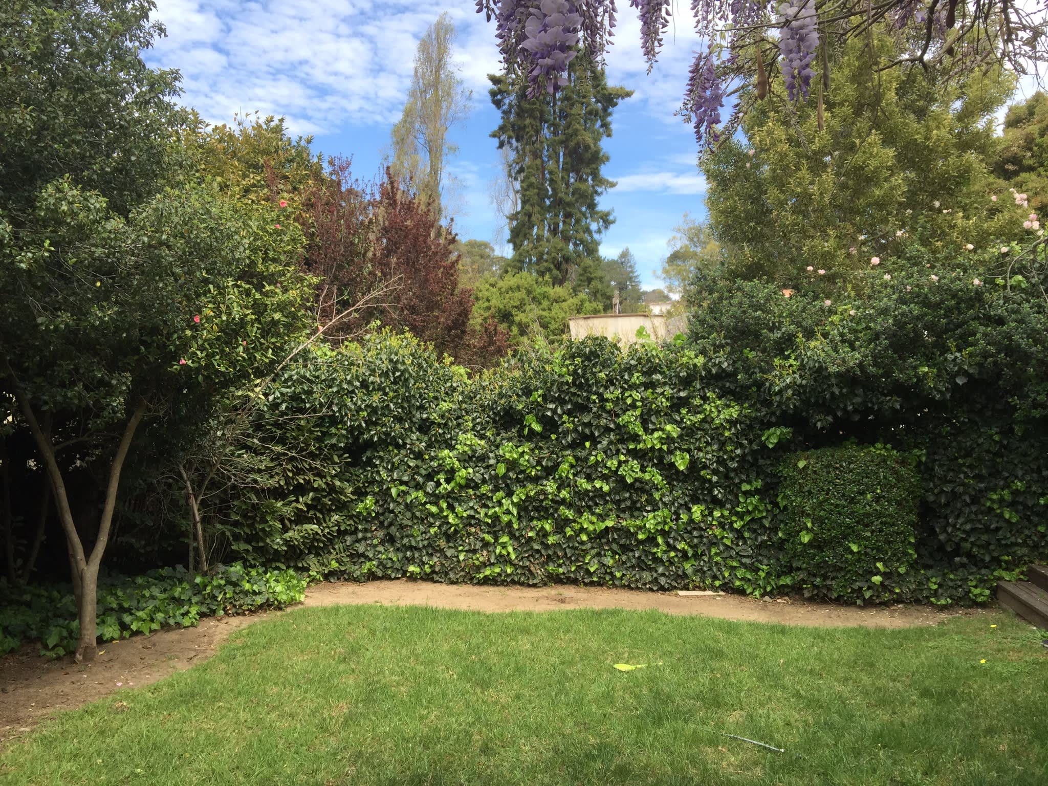 87 Ardmore Road – photo 5