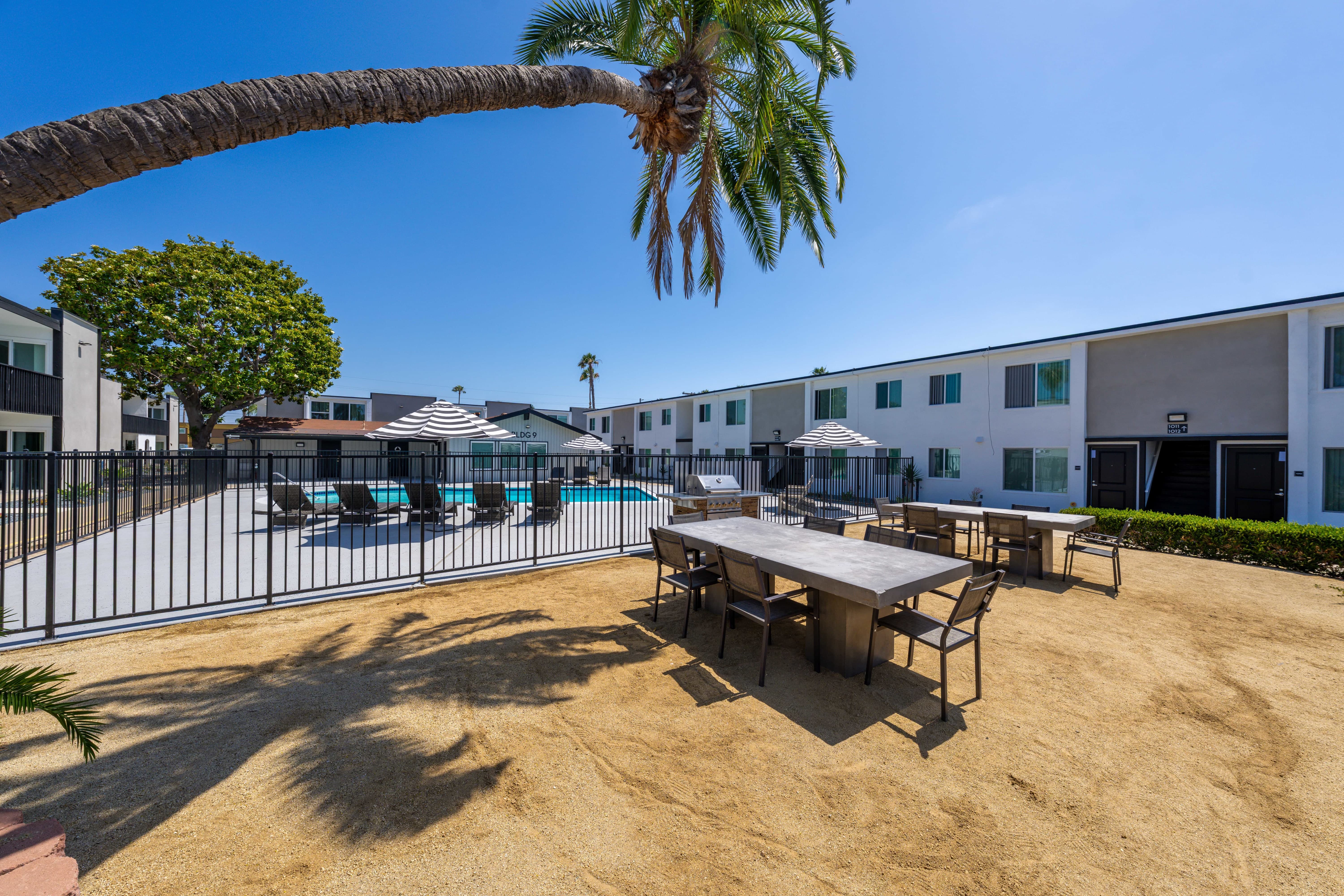 Palmera Chula Vista – photo 4