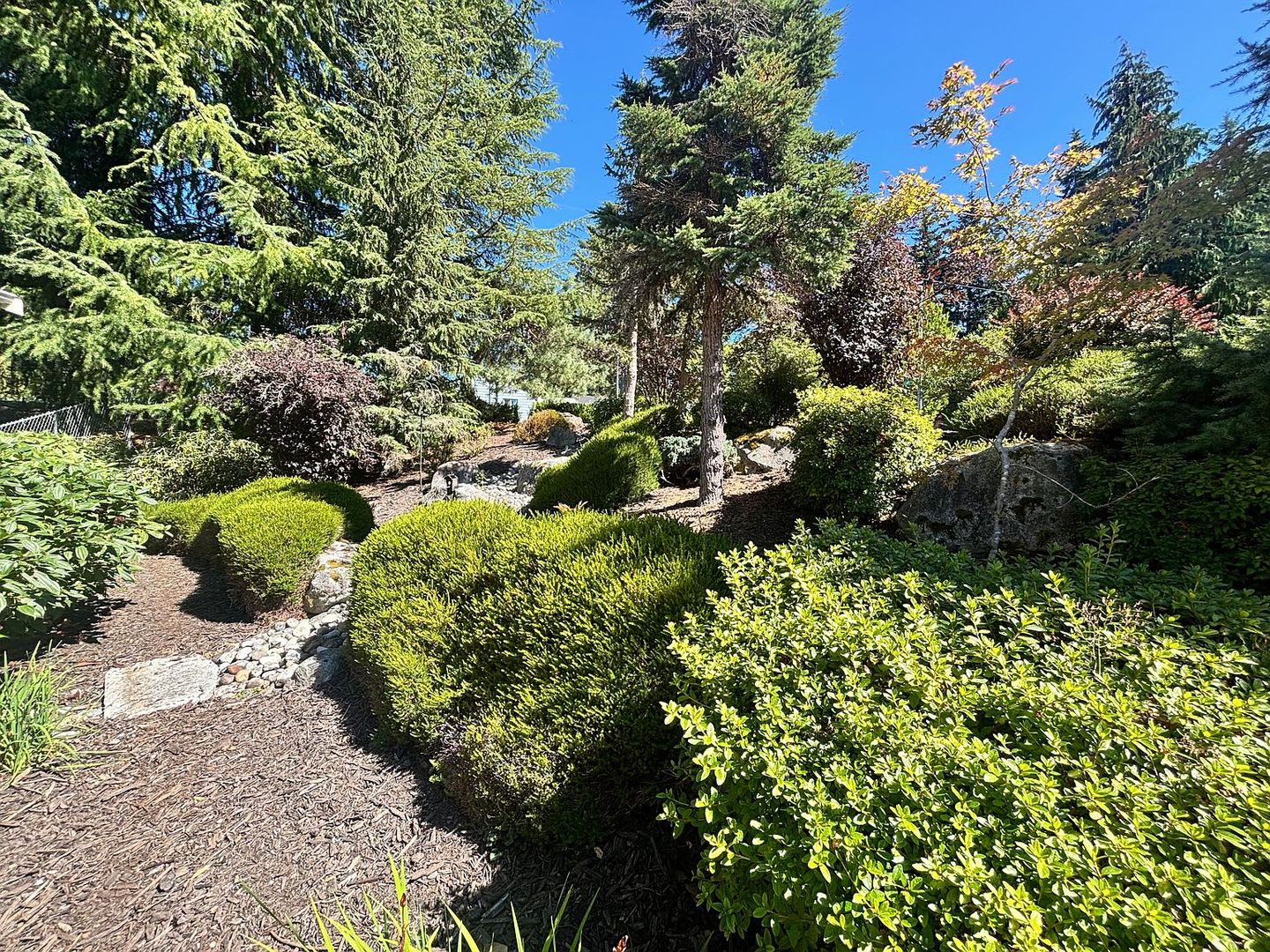 Everett Gem – photo 3