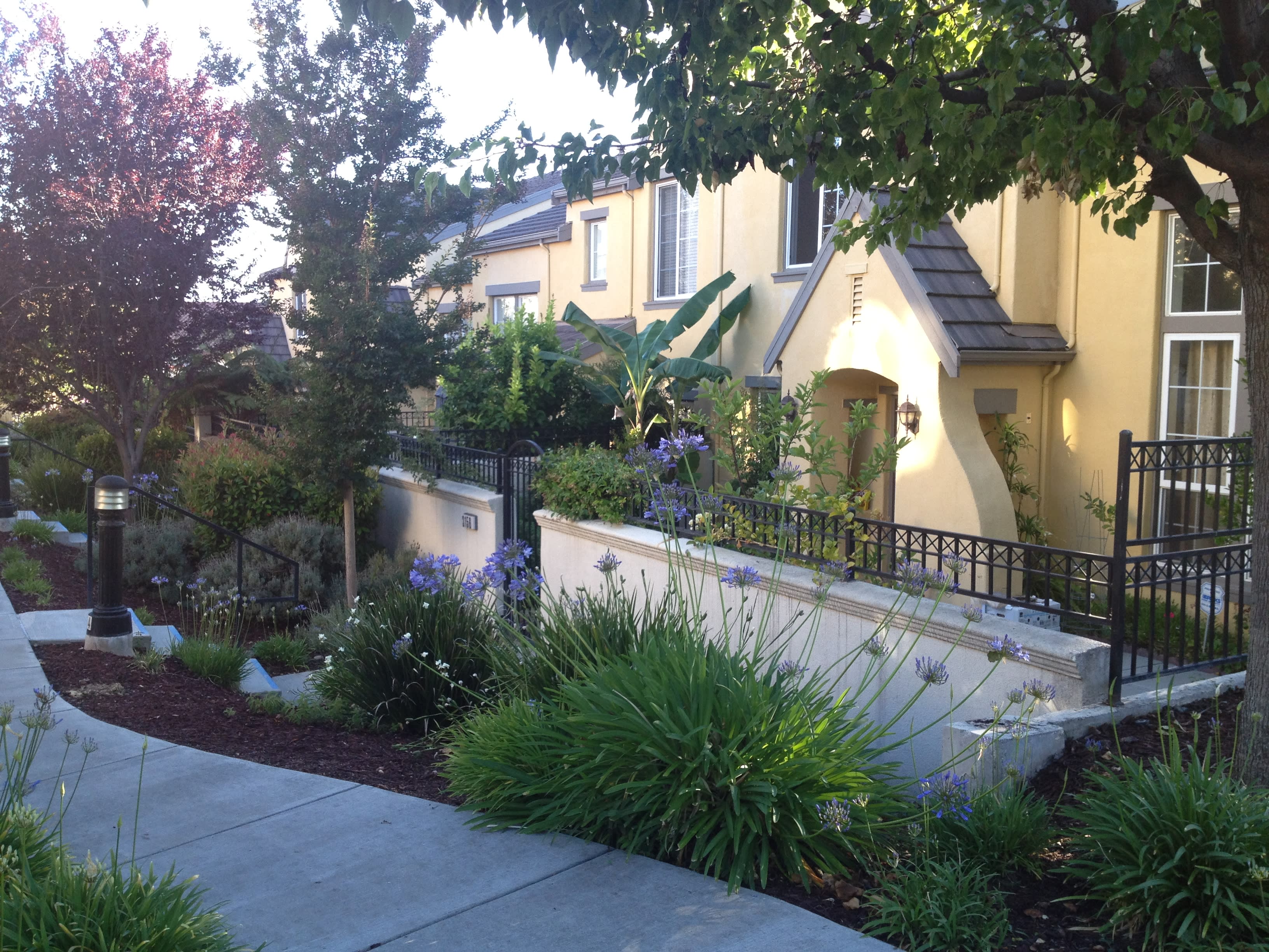 3156 Ledoux Court – photo 1