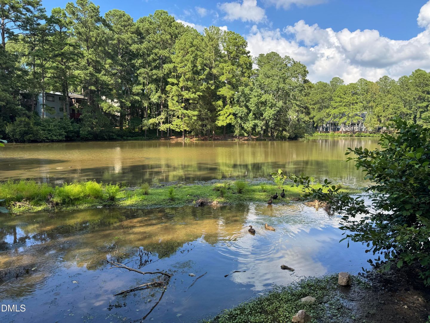 533 Pine Ridge Pl – photo 4
