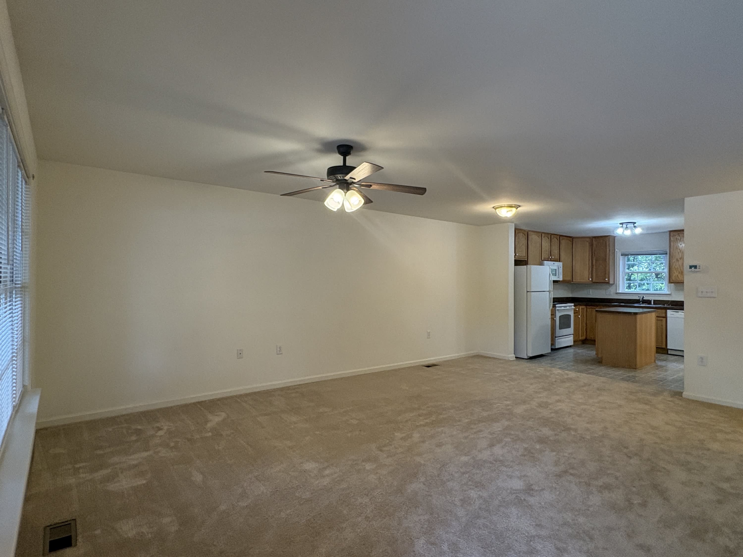 55 Mabel Lane – photo 4