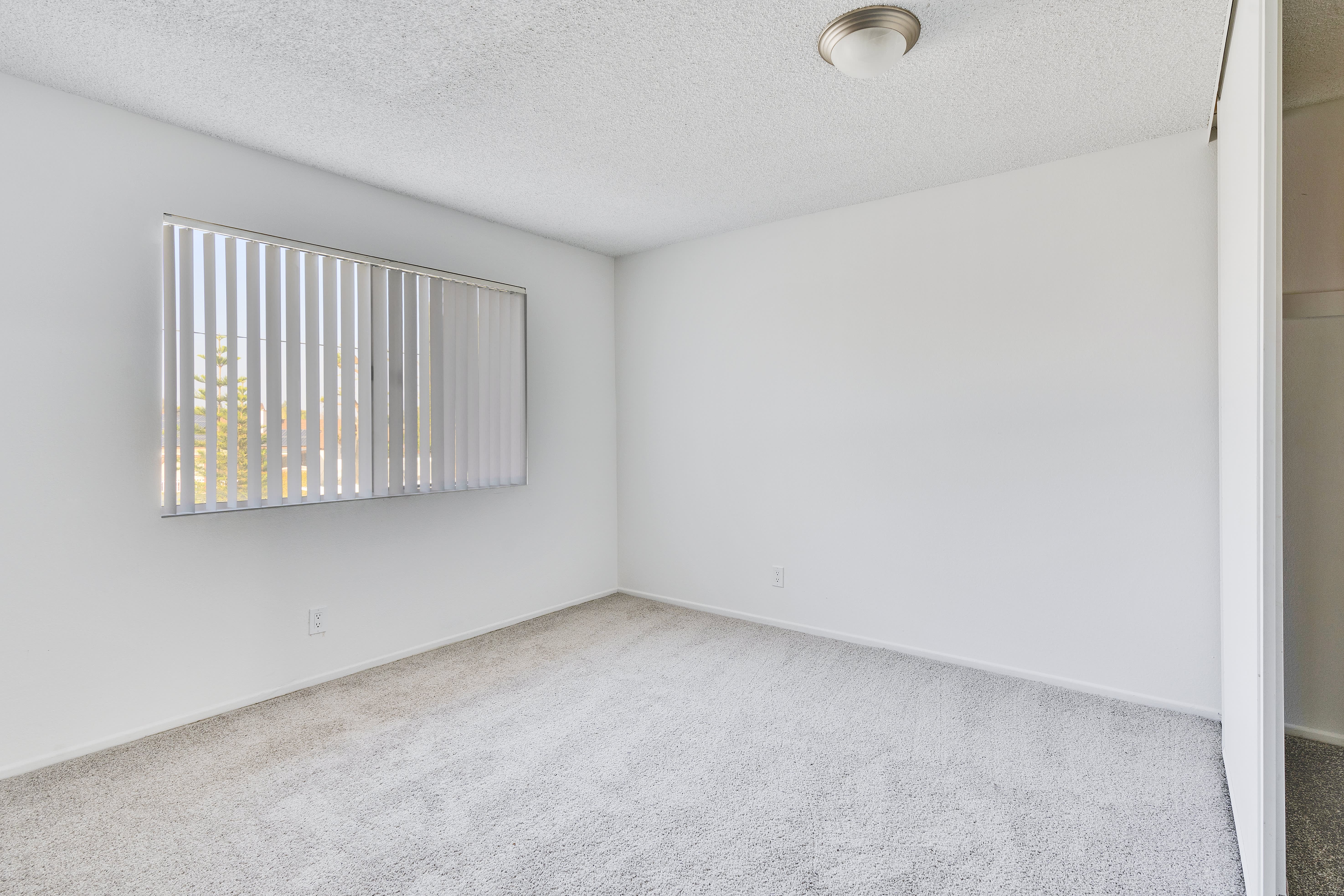 Terrace Oak – photo 4
